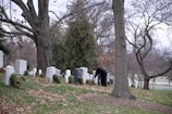 A gentle hand carefully arranging seasonal plants at a gravesite.