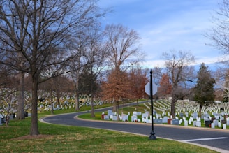 A cemetery with numerous white and gray headstones is situated on neatly maintained green grass. Leafless trees are scattered throughout the area, and a winding paved road divides the cemetery. The sky is overcast with shades of blue and gray, adding to the solemn atmosphere.