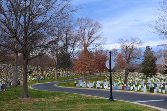 A cemetery with numerous white and gray headstones is situated on neatly maintained green grass. Leafless trees are scattered throughout the area, and a winding paved road divides the cemetery. The sky is overcast with shades of blue and gray, adding to the solemn atmosphere.