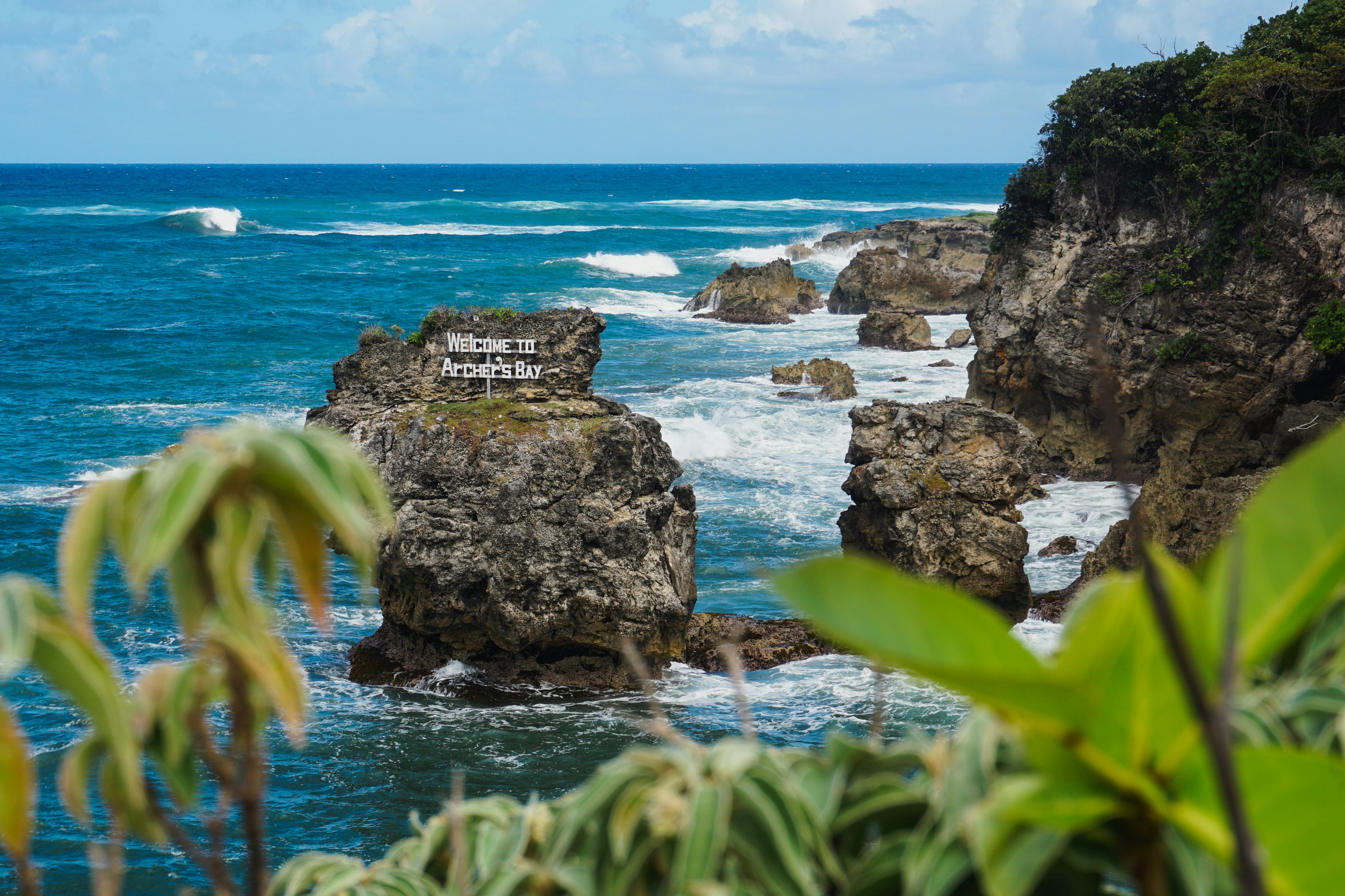 Photo by chloechristinemarketing