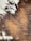 Close-up of a cowhide rug with natural textures on a wooden floor.