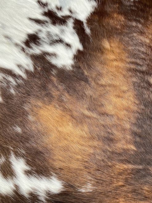 A close-up view of a textured surface composed of fur with a mix of white, brown, and dark brown patches. The pattern appears natural and organic, resembling an animal hide with a soft and fluffy appearance.