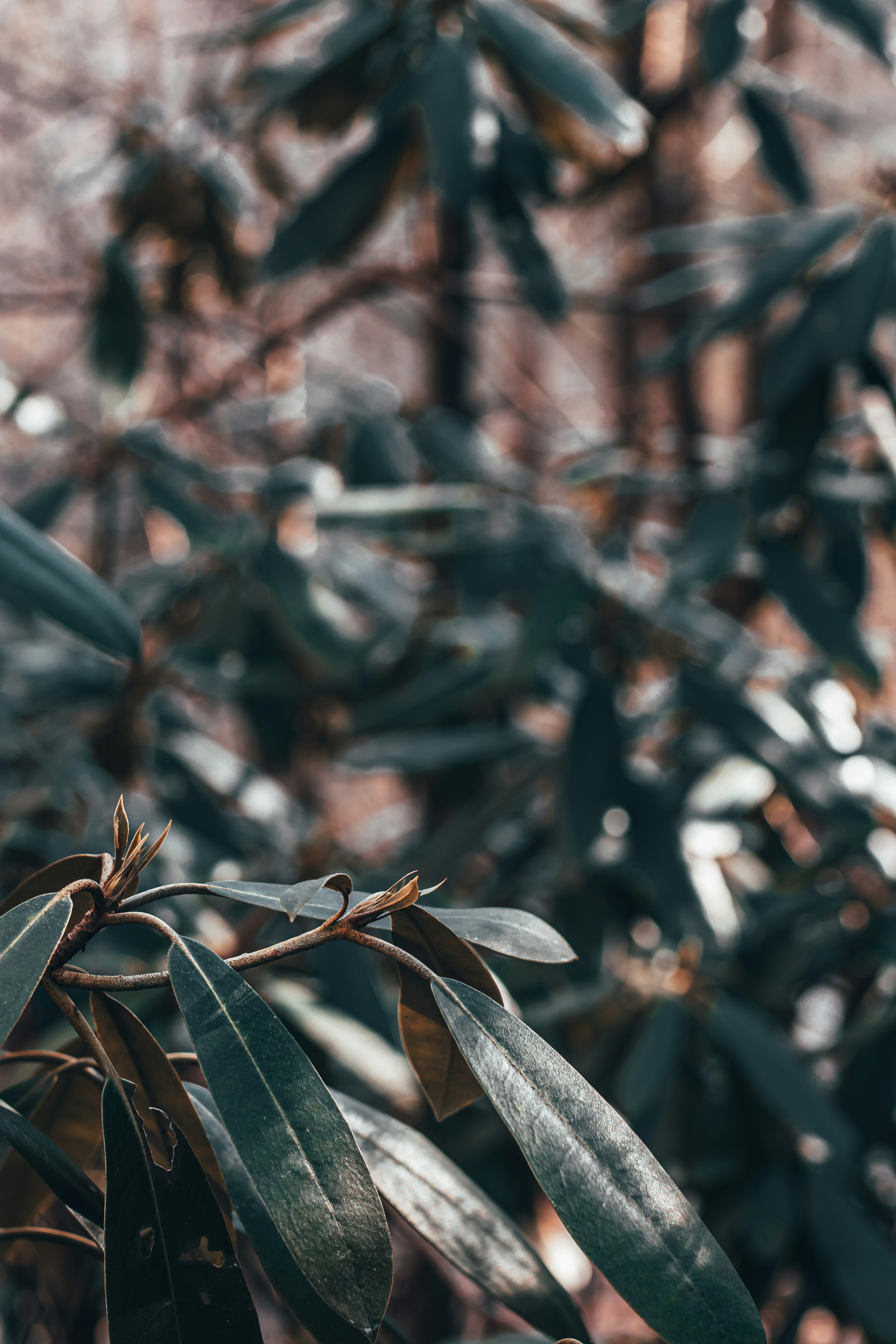 Photo by brice_cooper18