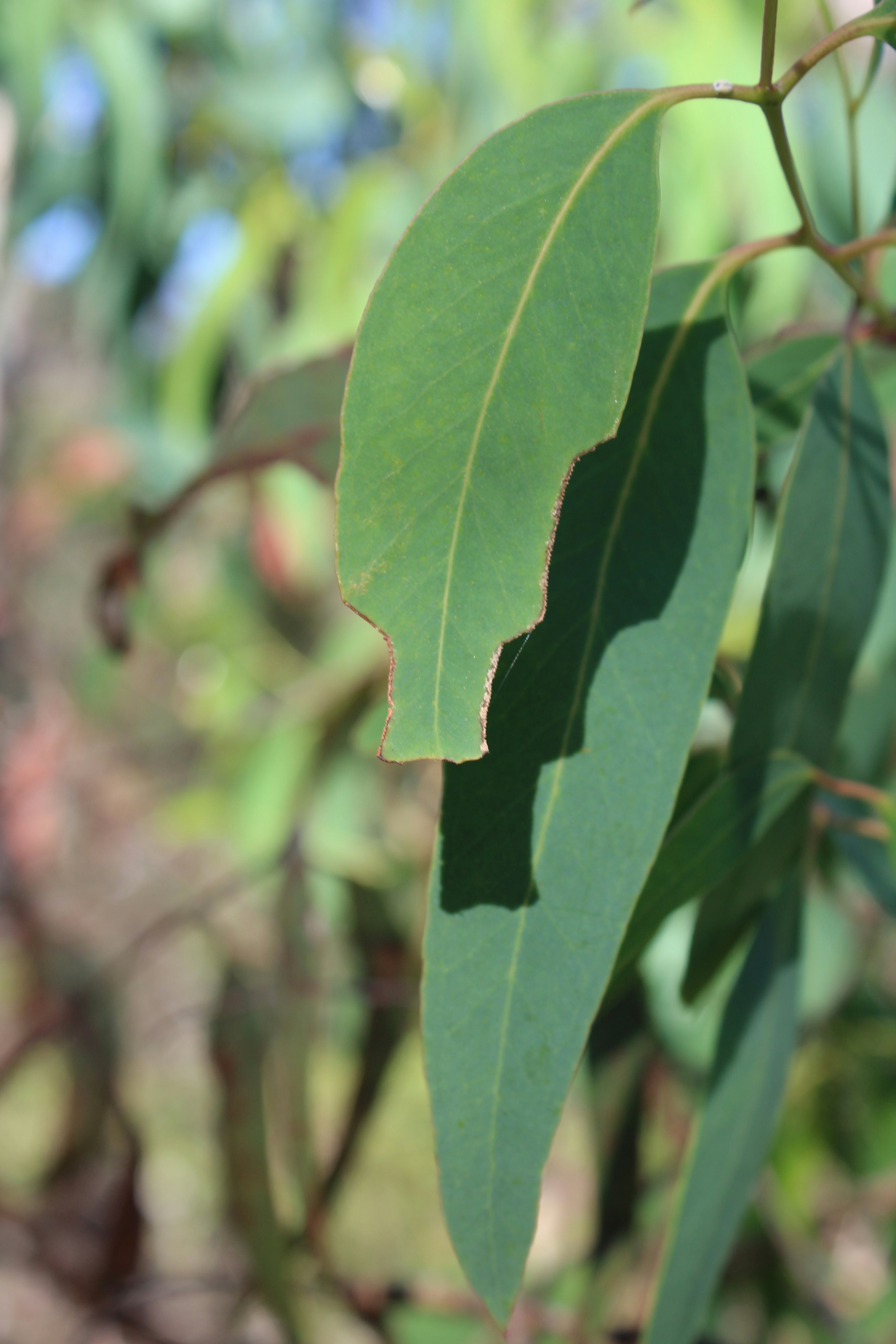 Photo by light_and_hope