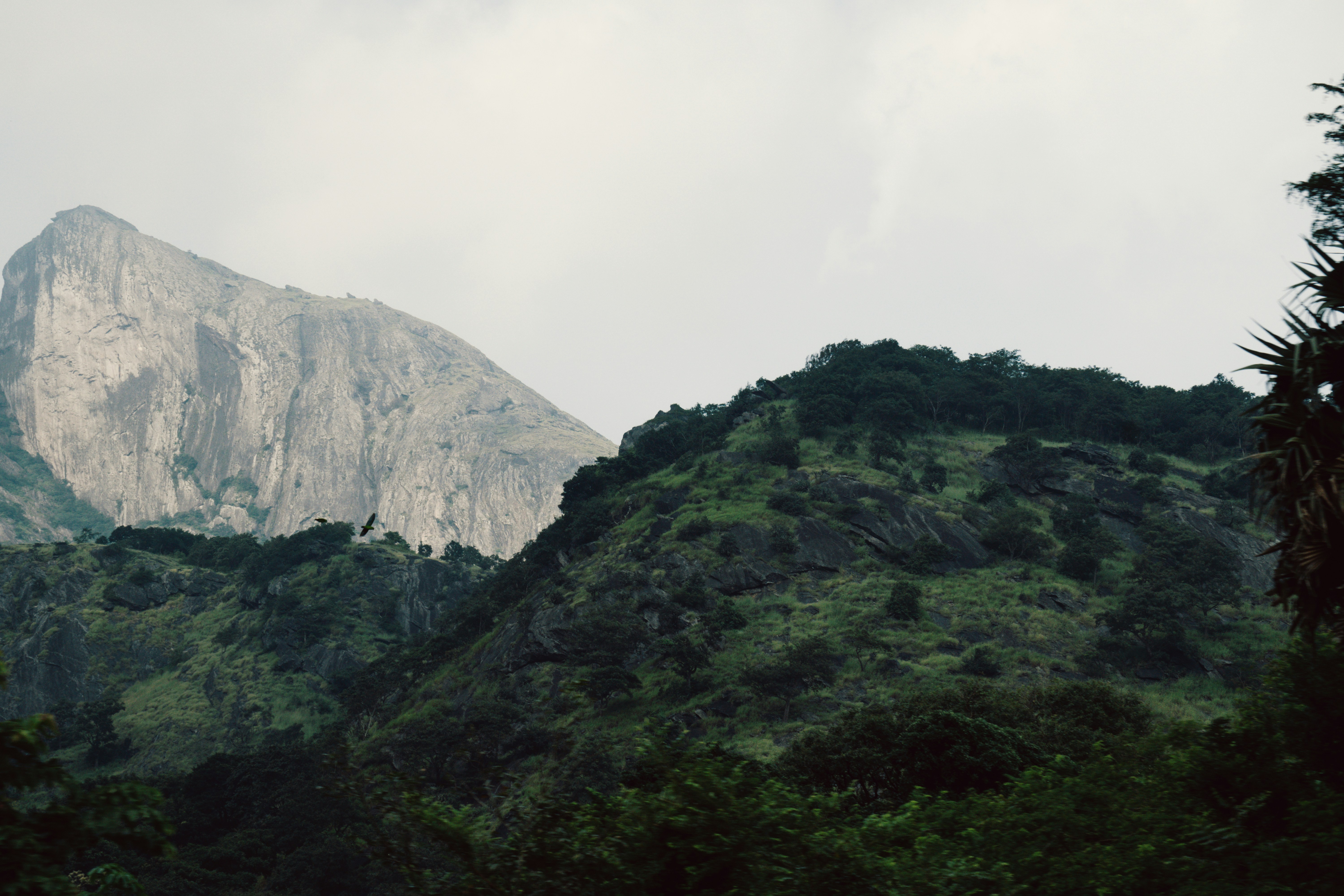 Photo by nanduvasudevan