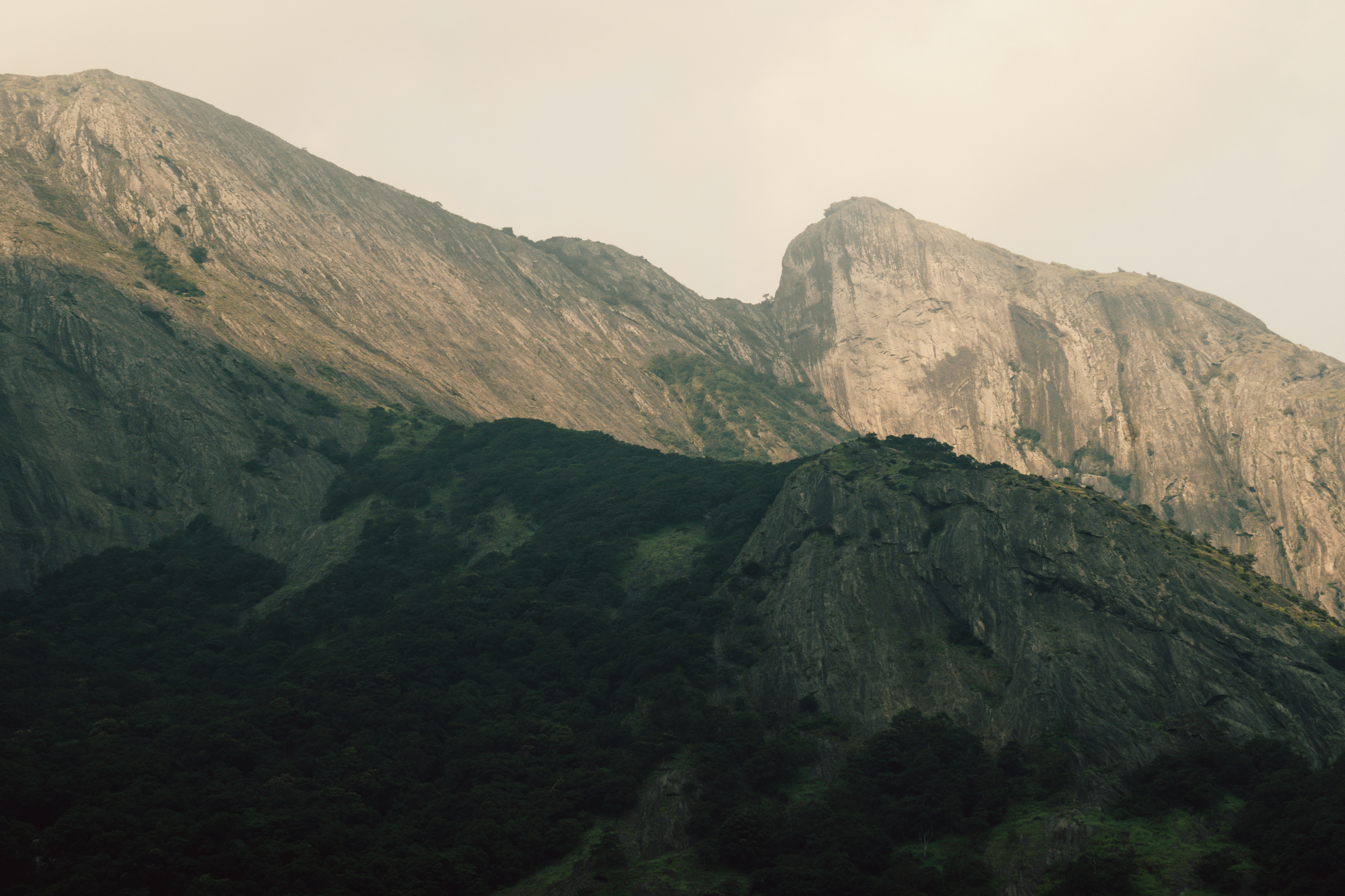 Photo by nanduvasudevan