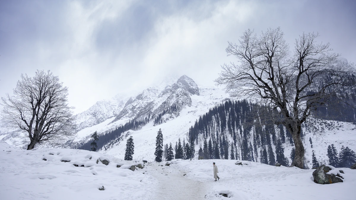 Sonmarg Kashmir