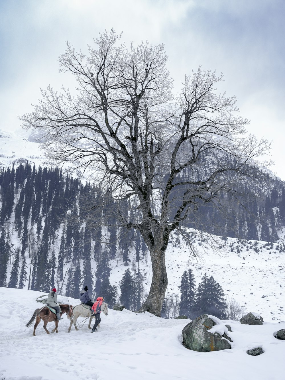 a group of people riding horses through the snow