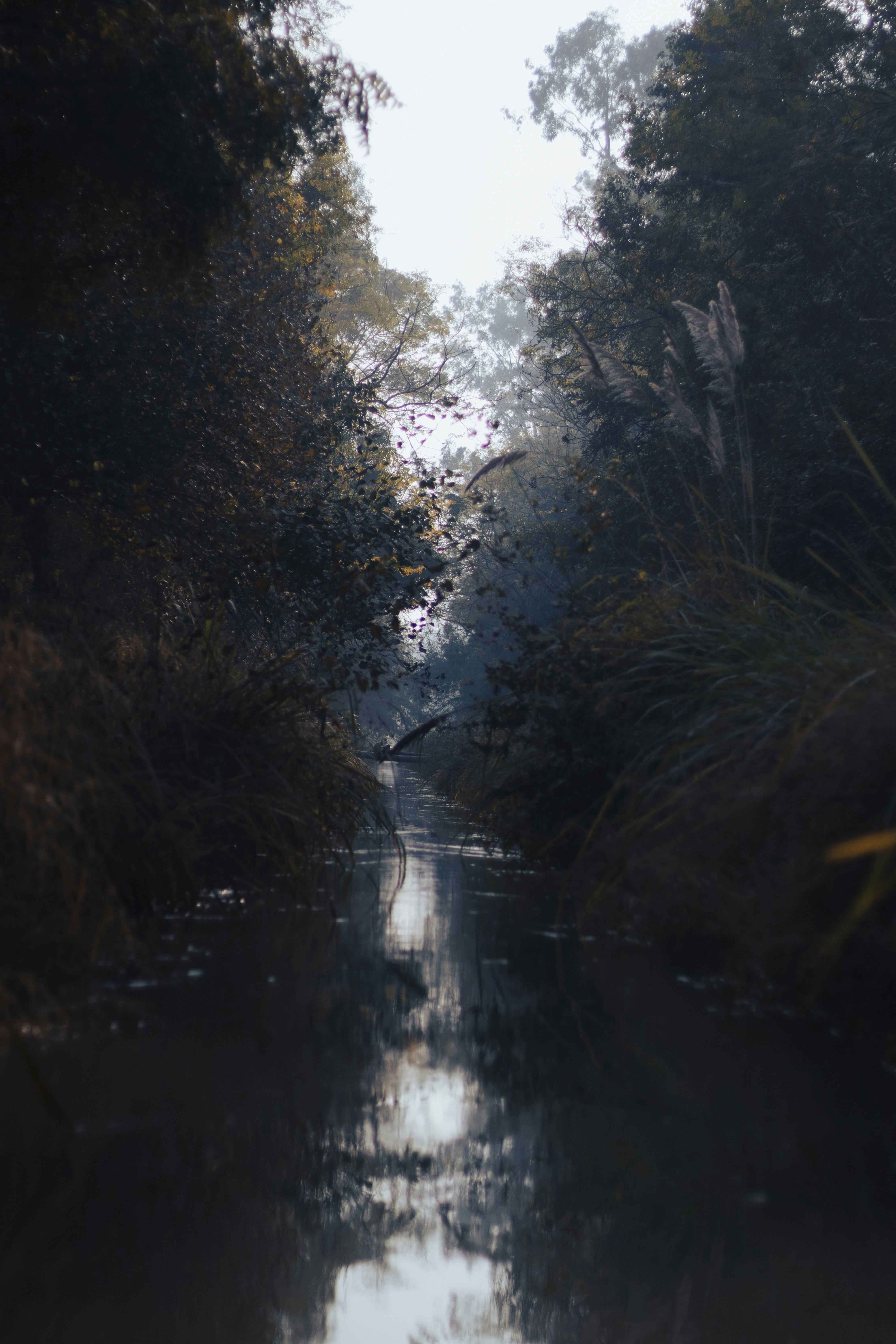 Photo by swastikarora