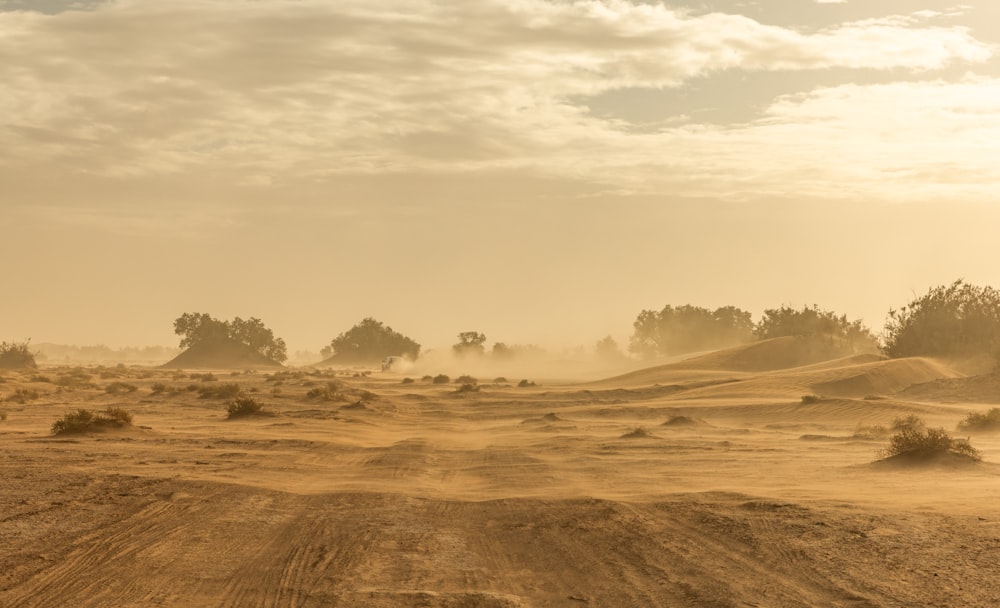 a dirt road in the middle of a desert