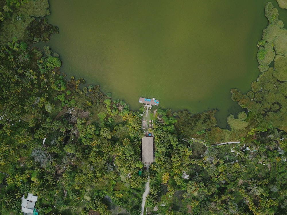 an aerial view of a body of water surrounded by trees