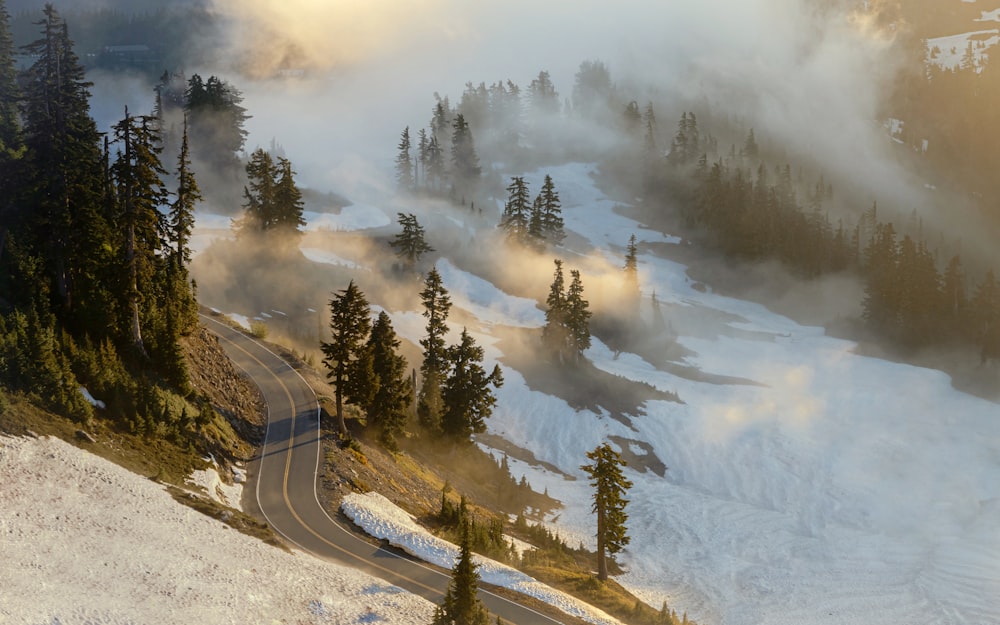 a winding road surrounded by snow and trees