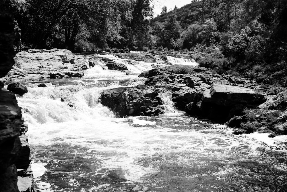 a black and white photo of a river