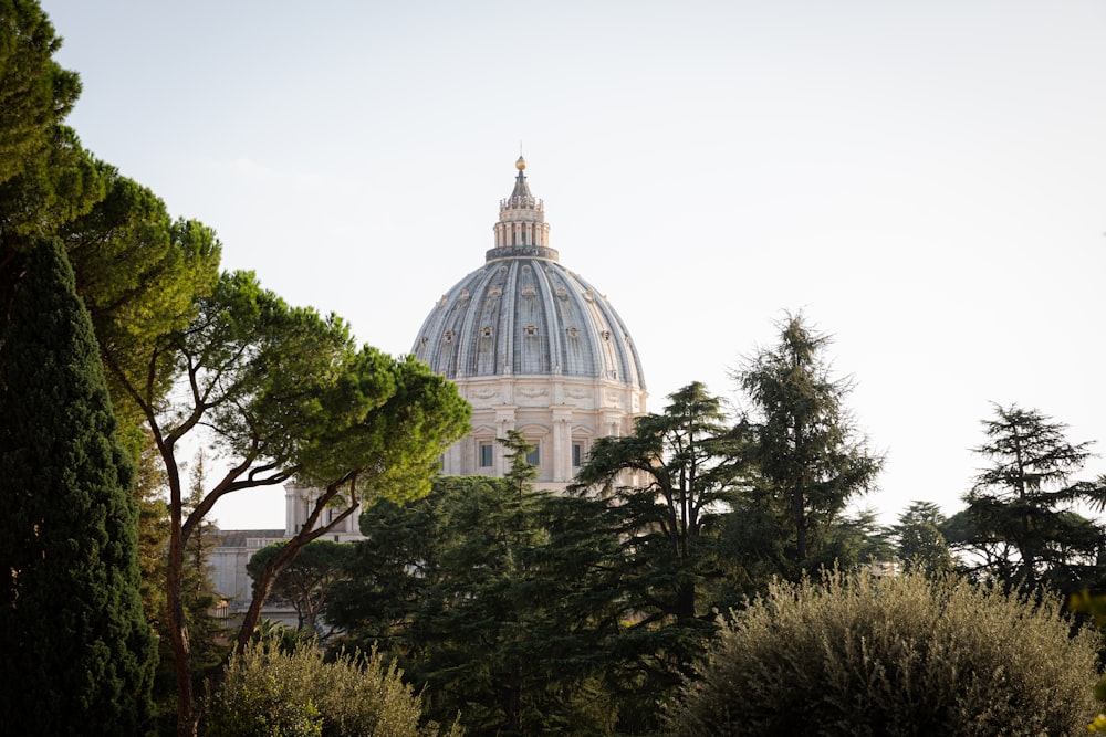 the dome of a building with trees in the foreground