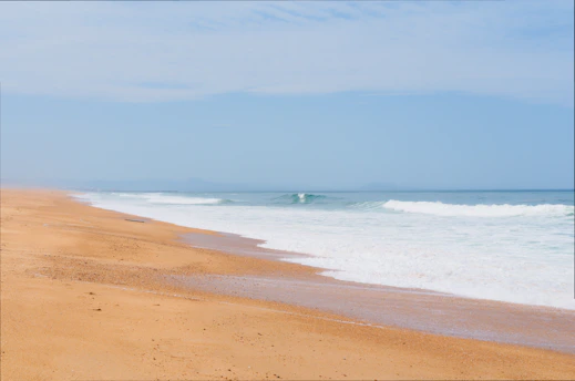A serene beach scene at Bentota with golden sand and gentle waves under a clear blue sky.