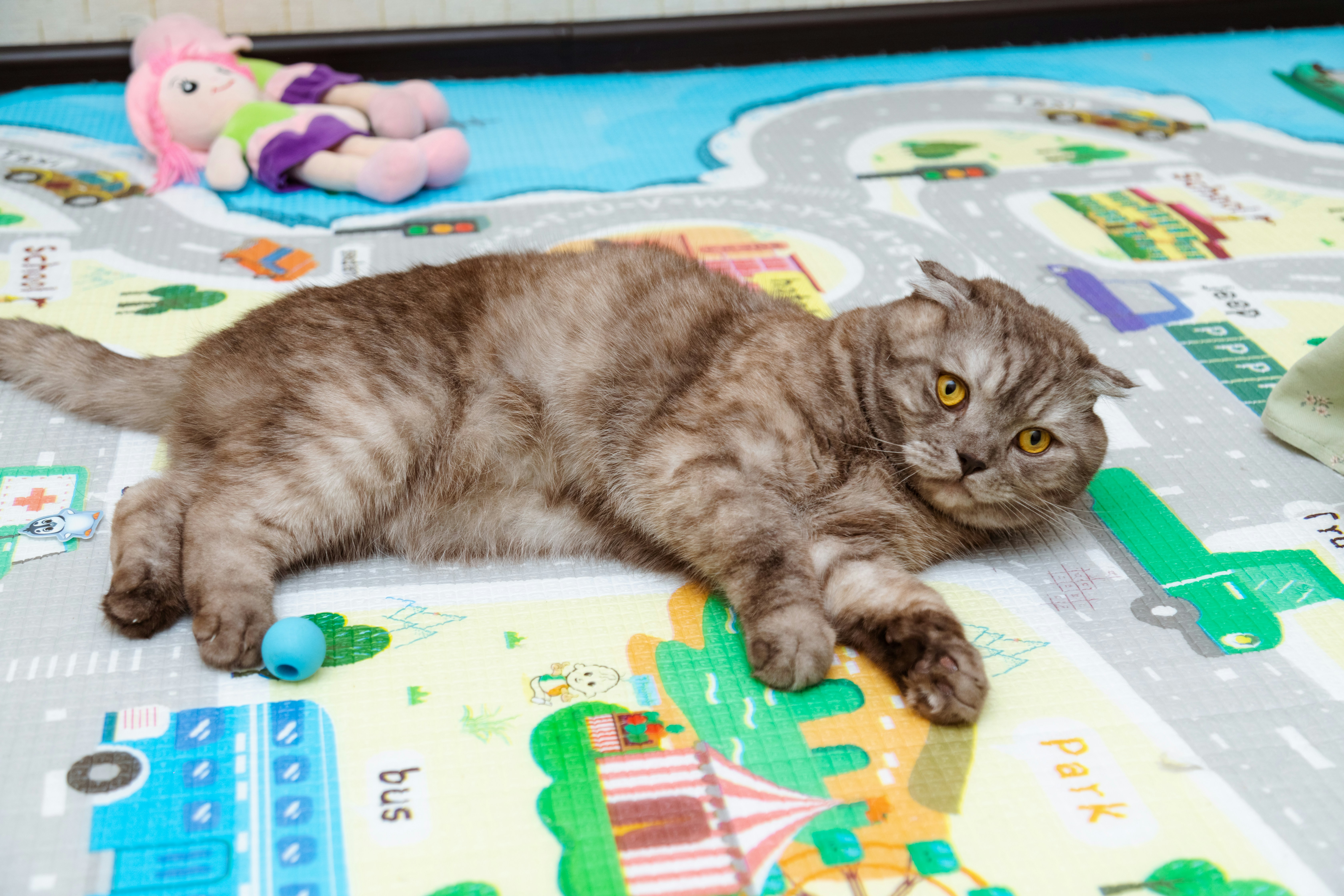 a cat laying on top of a play mat