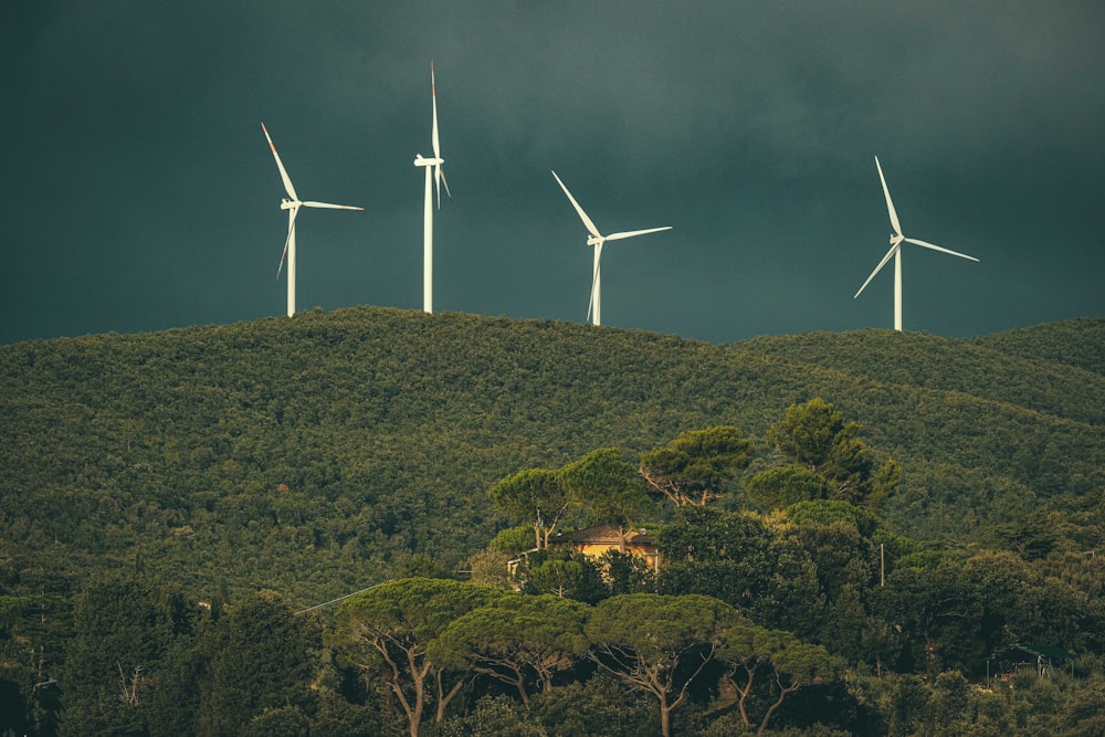 a group of wind turbines on top of a hill