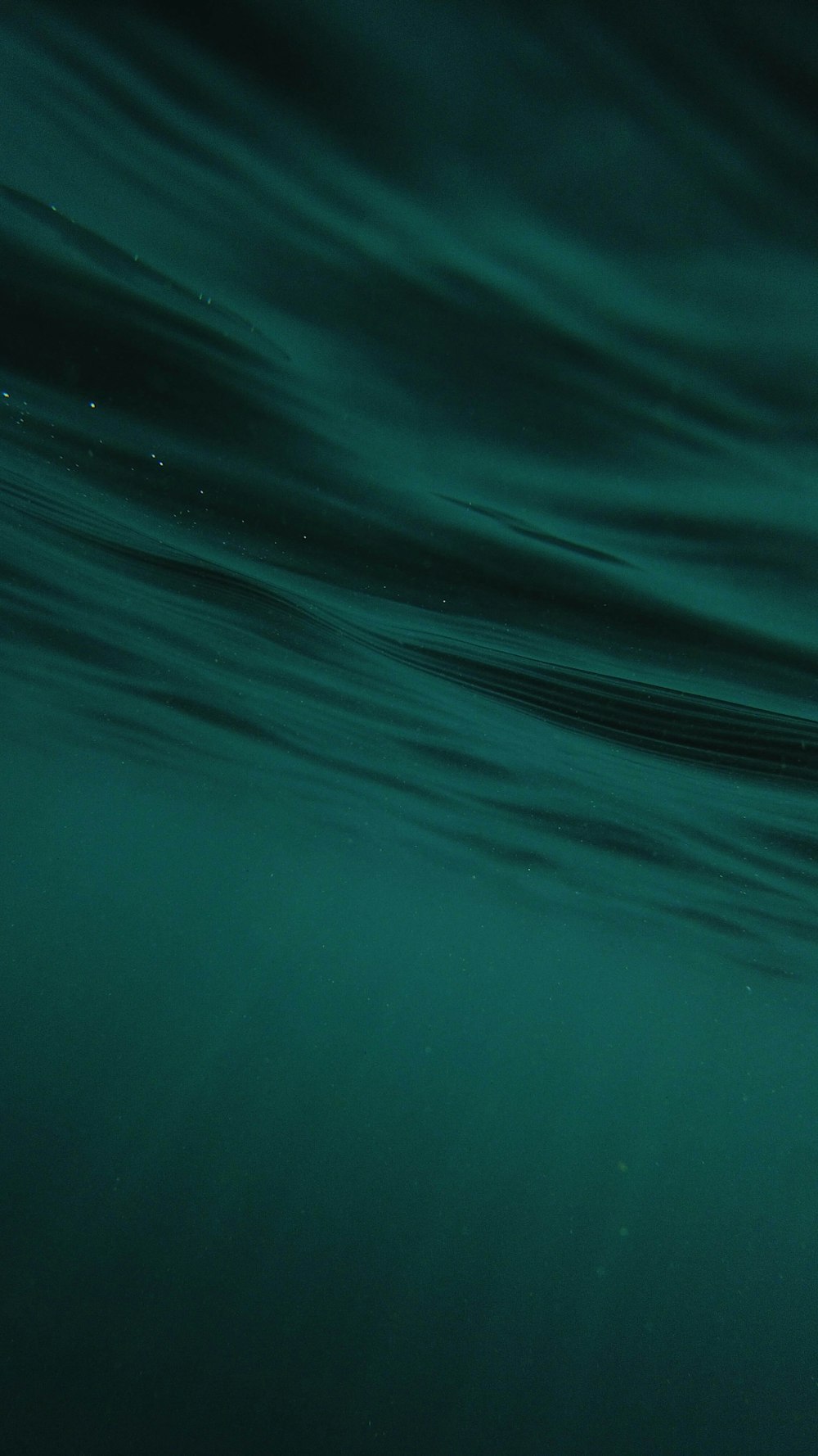 a person riding a surfboard on a body of water