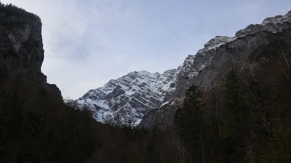 a snow covered mountain with trees in the foreground