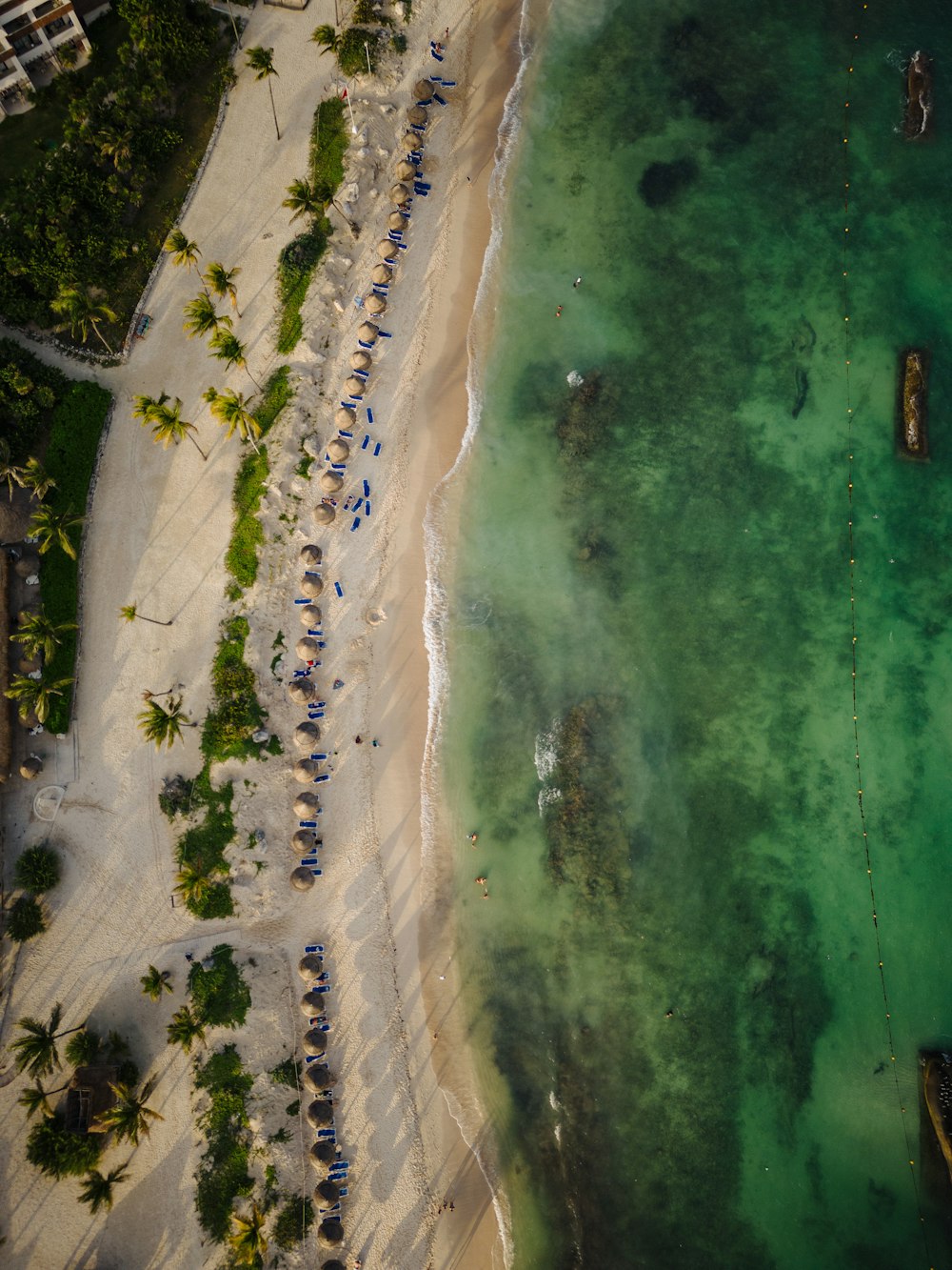 an aerial view of a beach and ocean