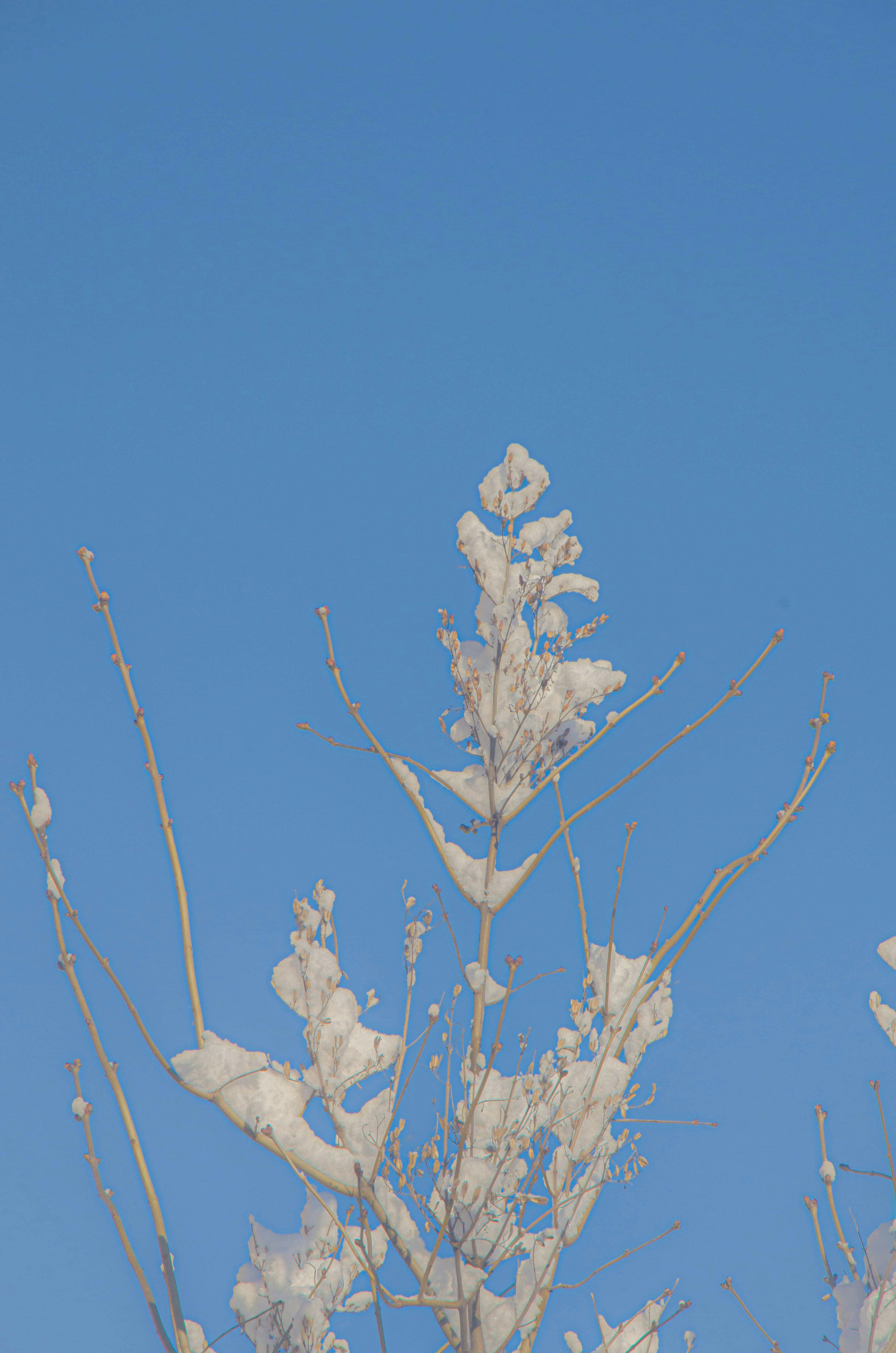 Photo by _florens_spenser_