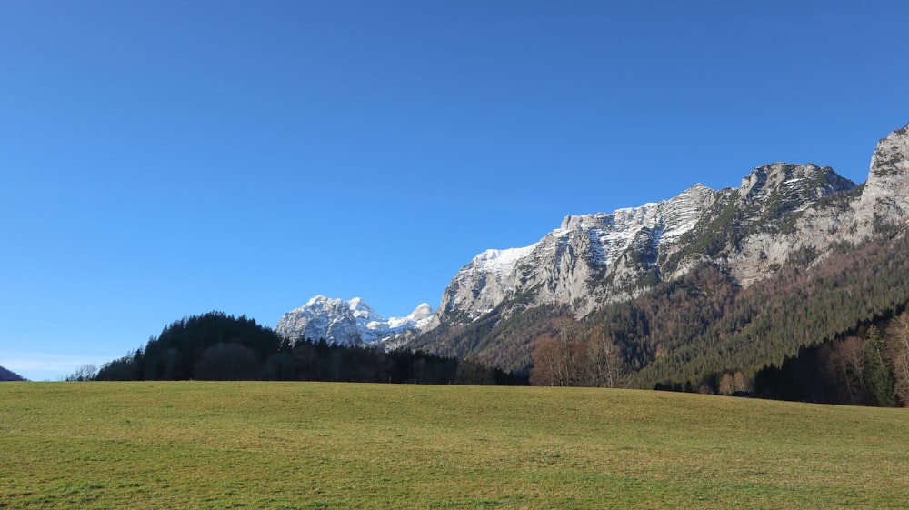 a grassy field with mountains in the background