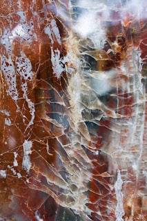Intricate and colorful patterns formed by organic-looking cracks and veins run through a polished stone surface. The mix of earthy browns, muted reds, whites, and hints of blue creates a visually captivating and textured appearance.
