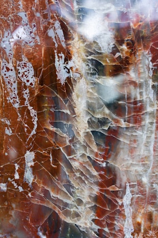Intricate and colorful patterns formed by organic-looking cracks and veins run through a polished stone surface. The mix of earthy browns, muted reds, whites, and hints of blue creates a visually captivating and textured appearance.
