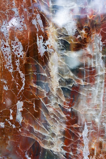 Close-up of a polished Indian quartzite slab showcasing its rich, natural veining and vibrant colors.