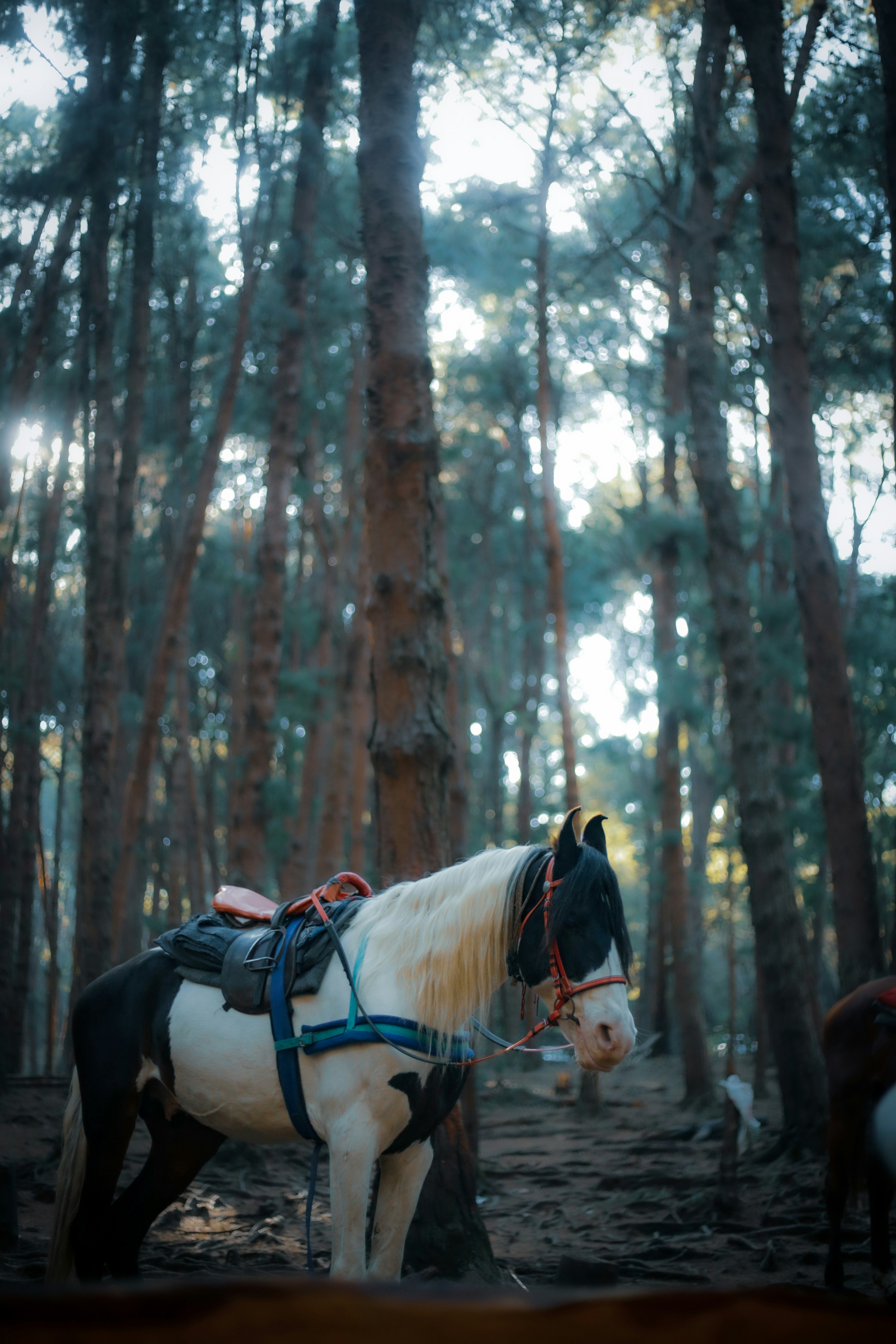 Photo by arununnikrishnan