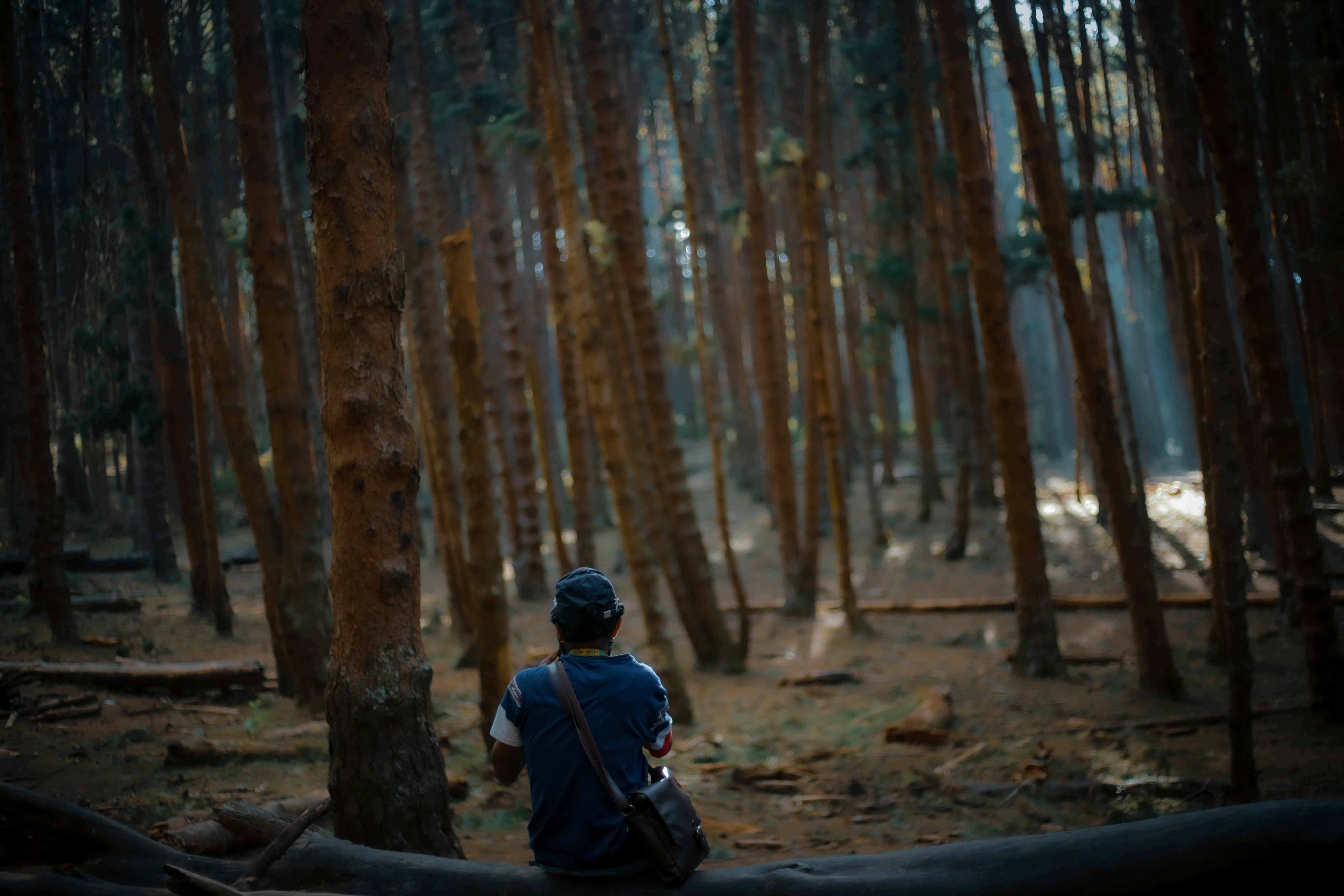 Photo by arununnikrishnan