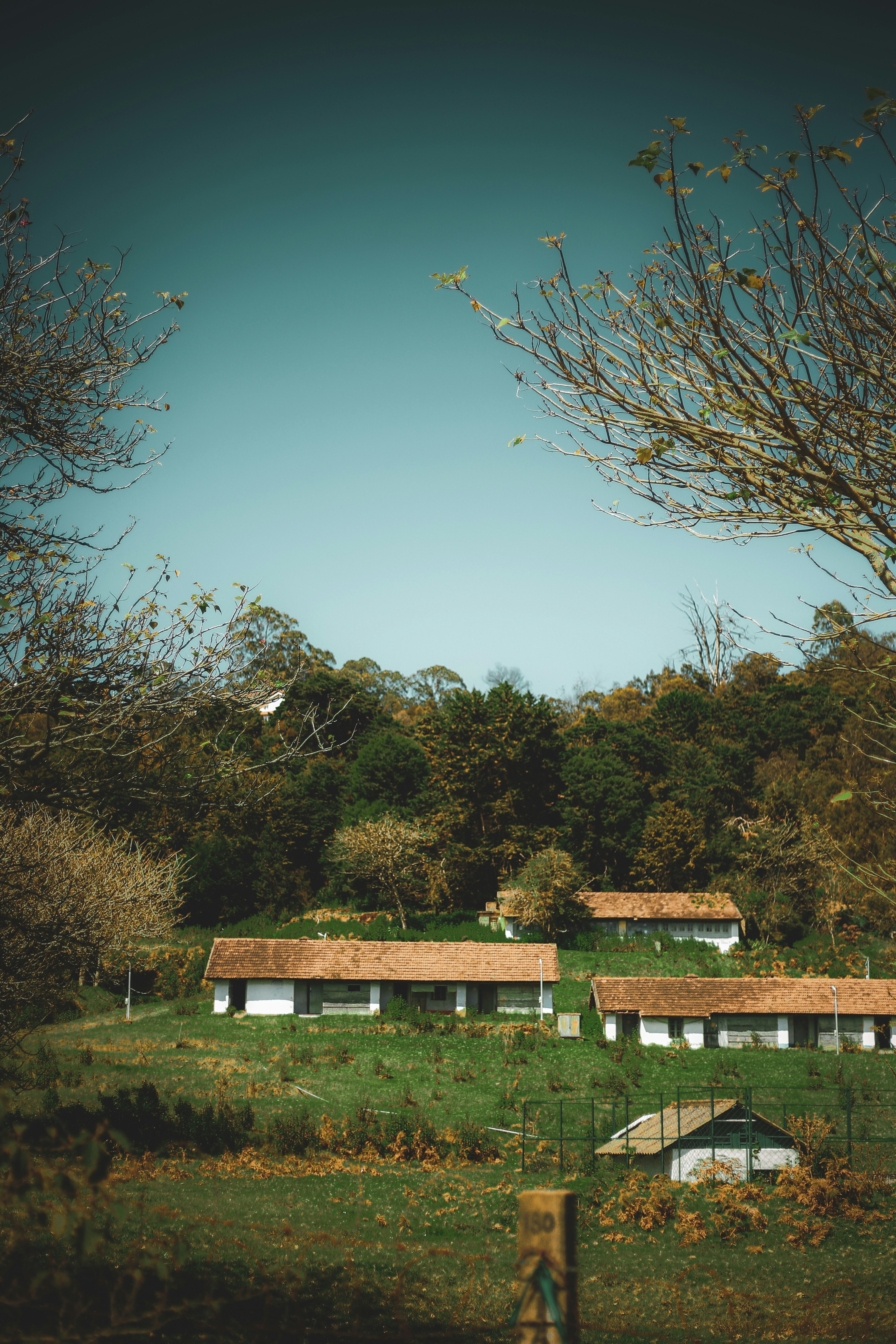 Photo by arununnikrishnan