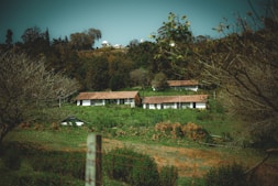 a house on a hill surrounded by trees