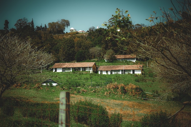a house on a hill surrounded by trees