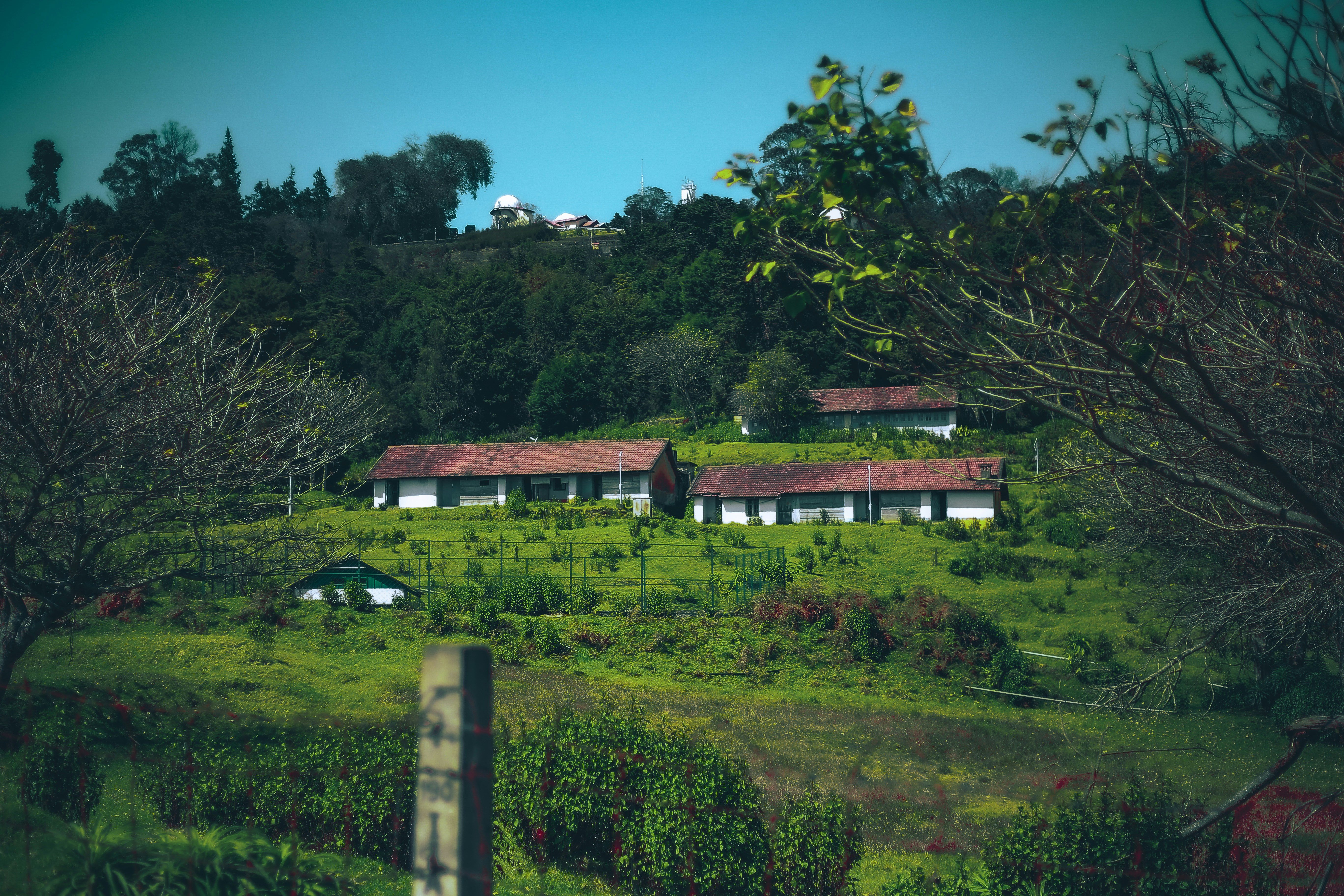 Photo by arununnikrishnan