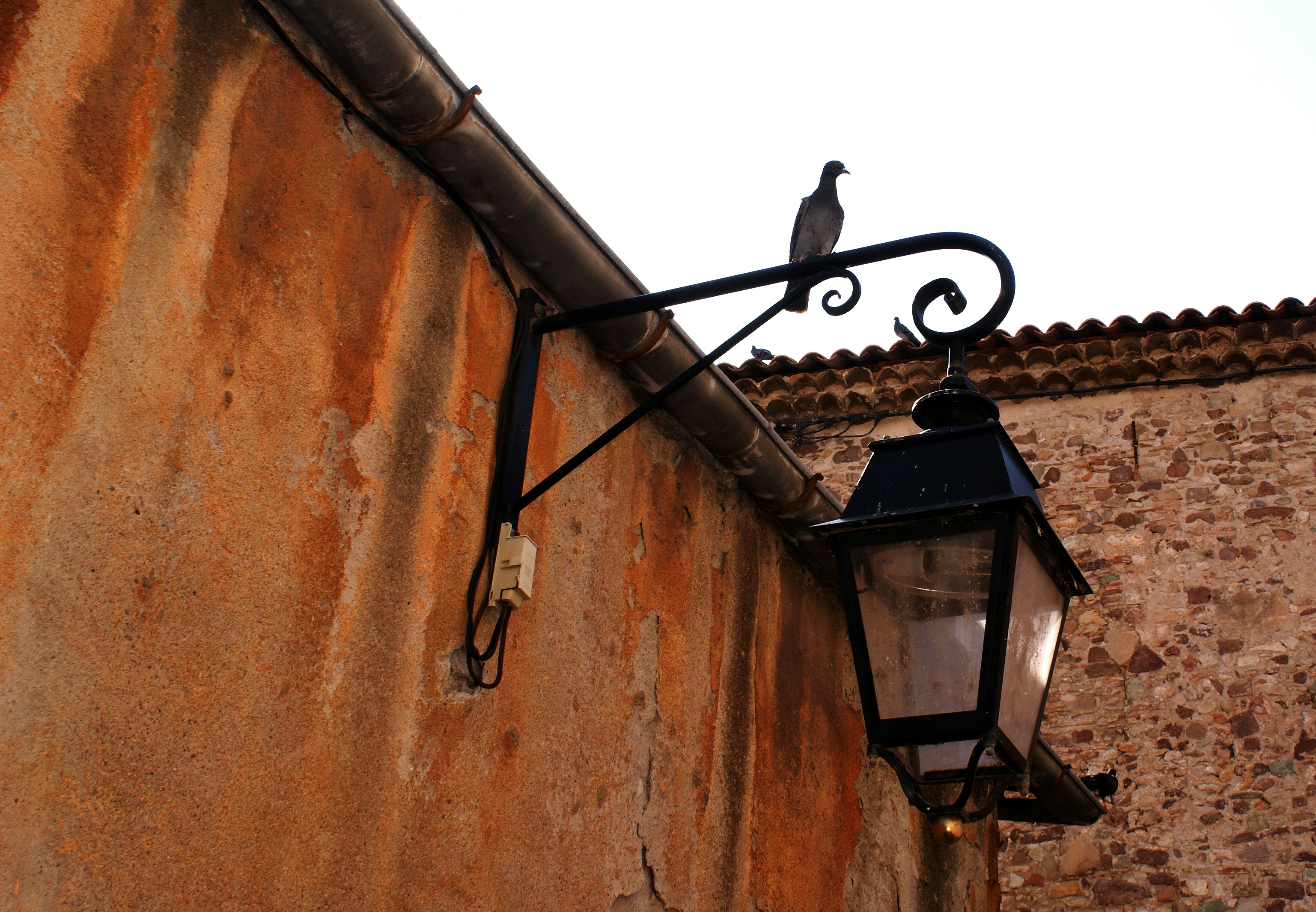 a bird is perched on a lamp on the side of a building