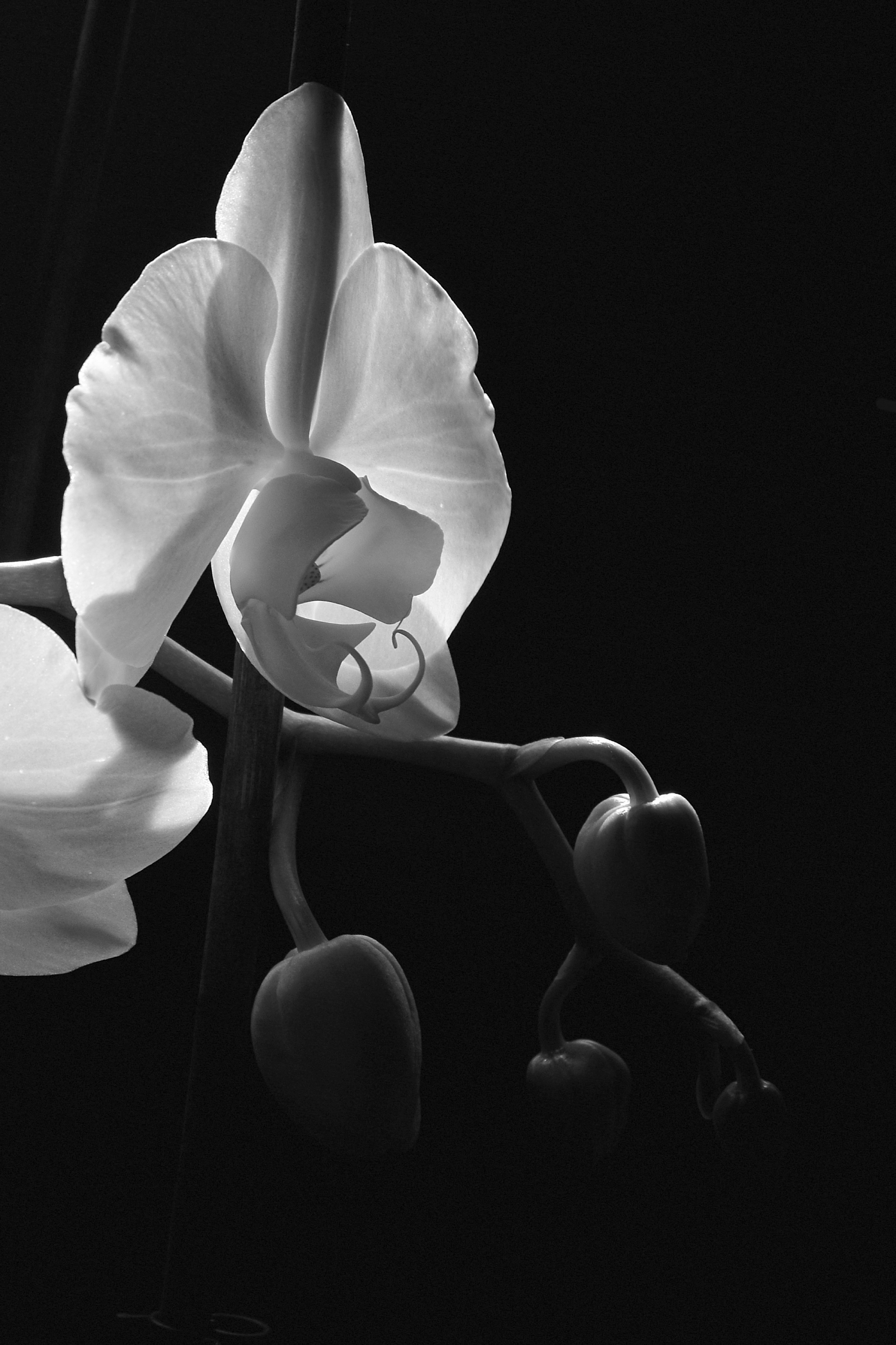 Photo by mariobeducci