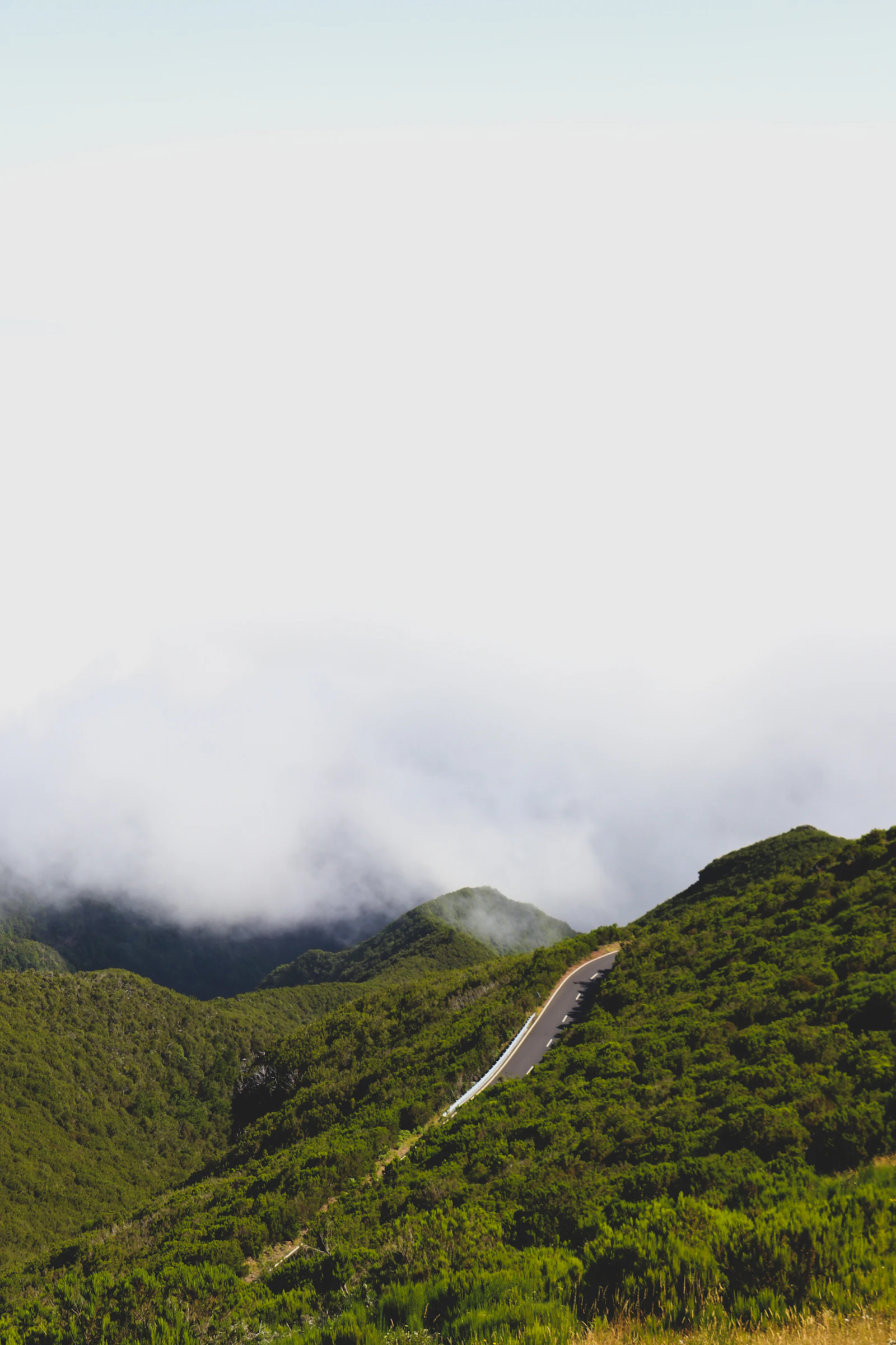 A road crossing a green hillside in Portugal's interior