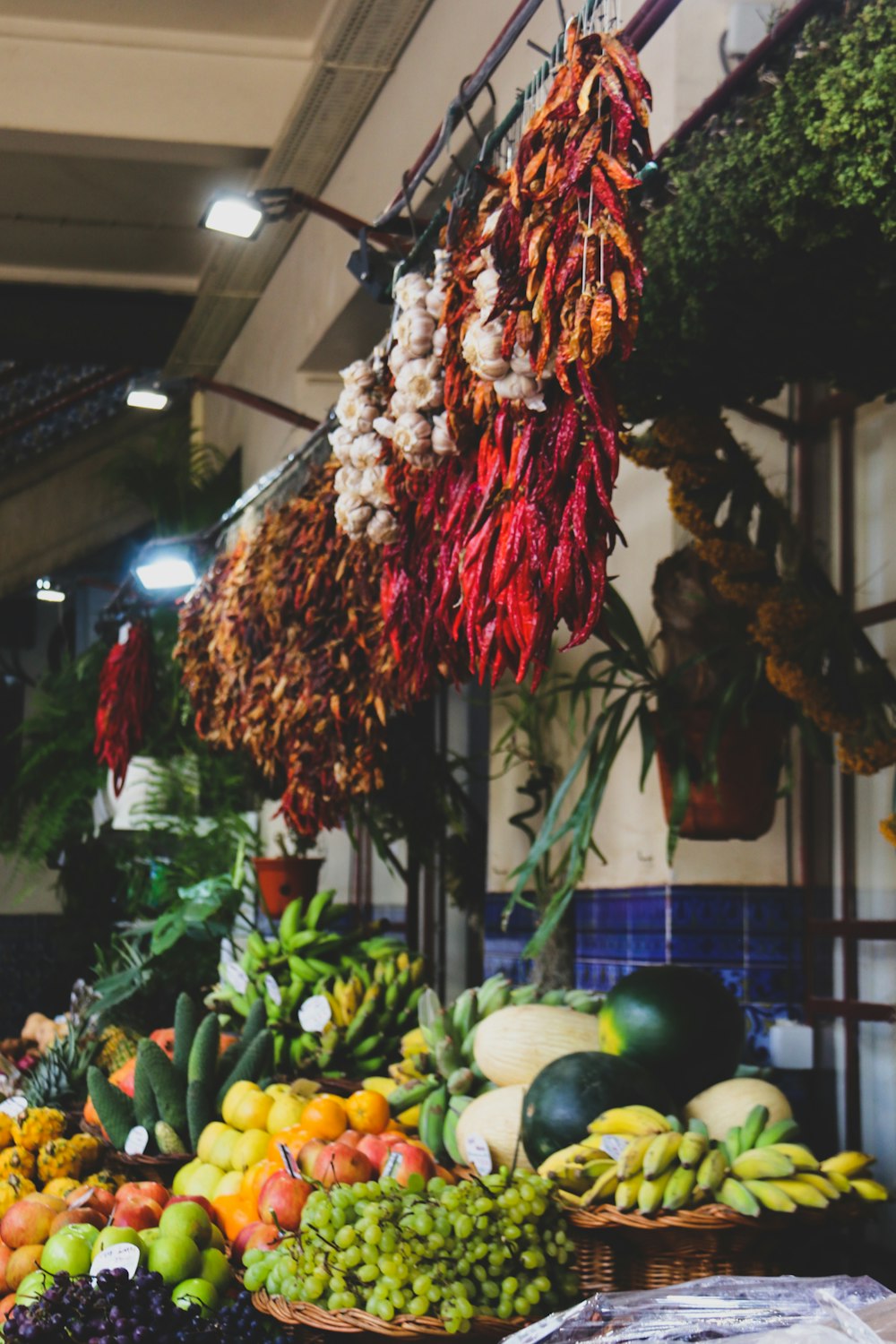 a bunch of fruits and vegetables are on display