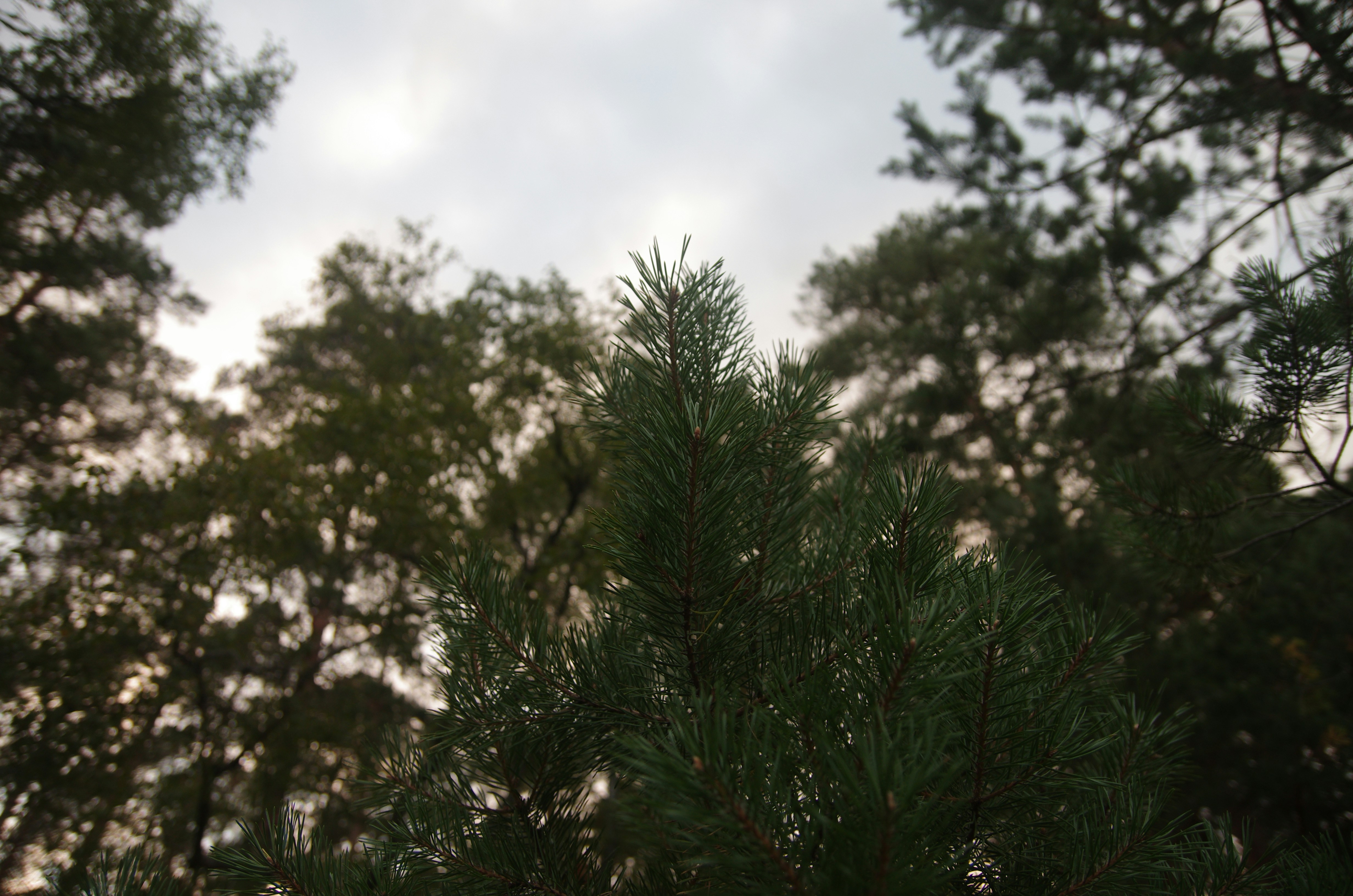 Photo by kontext