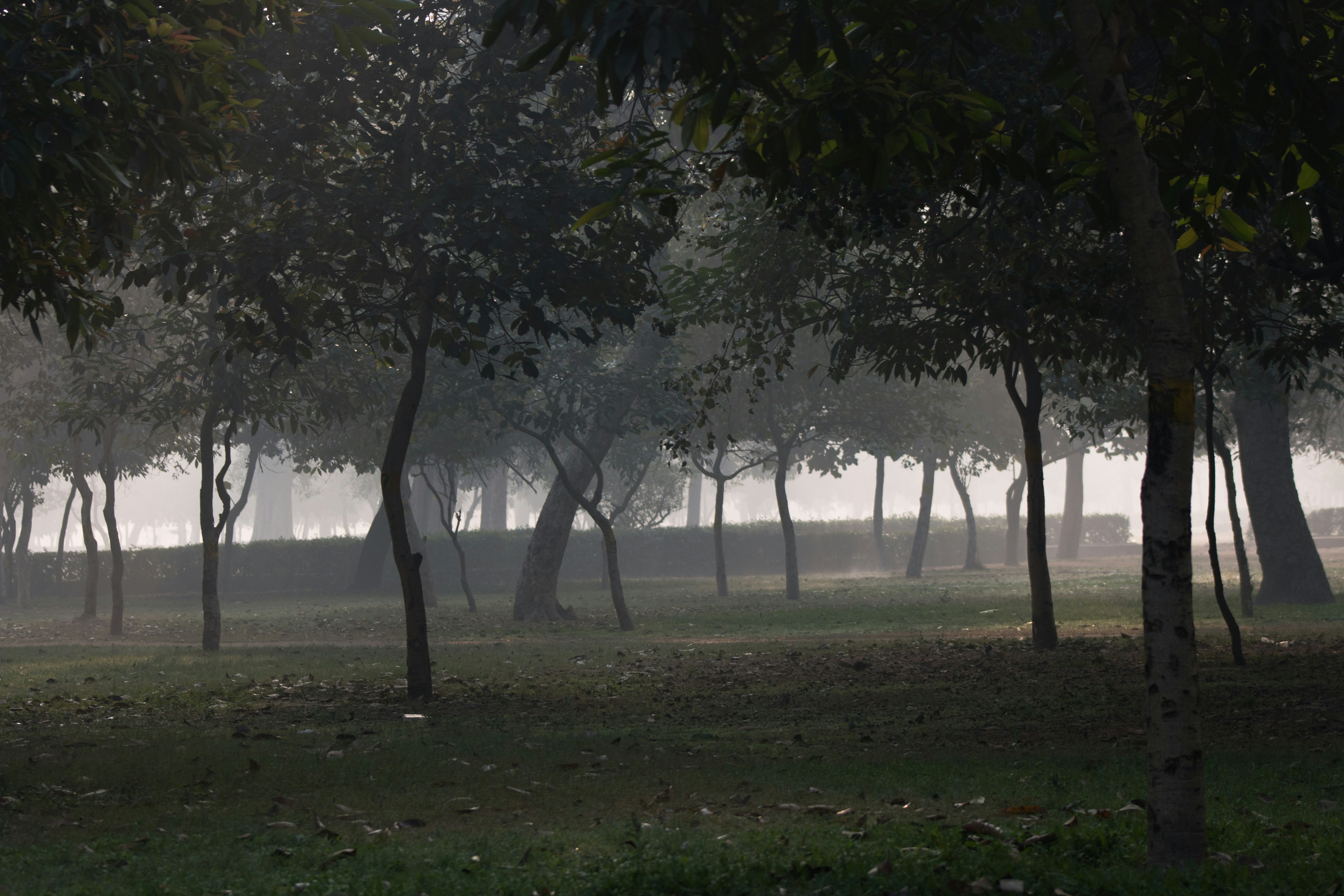 Photo by kannankanu