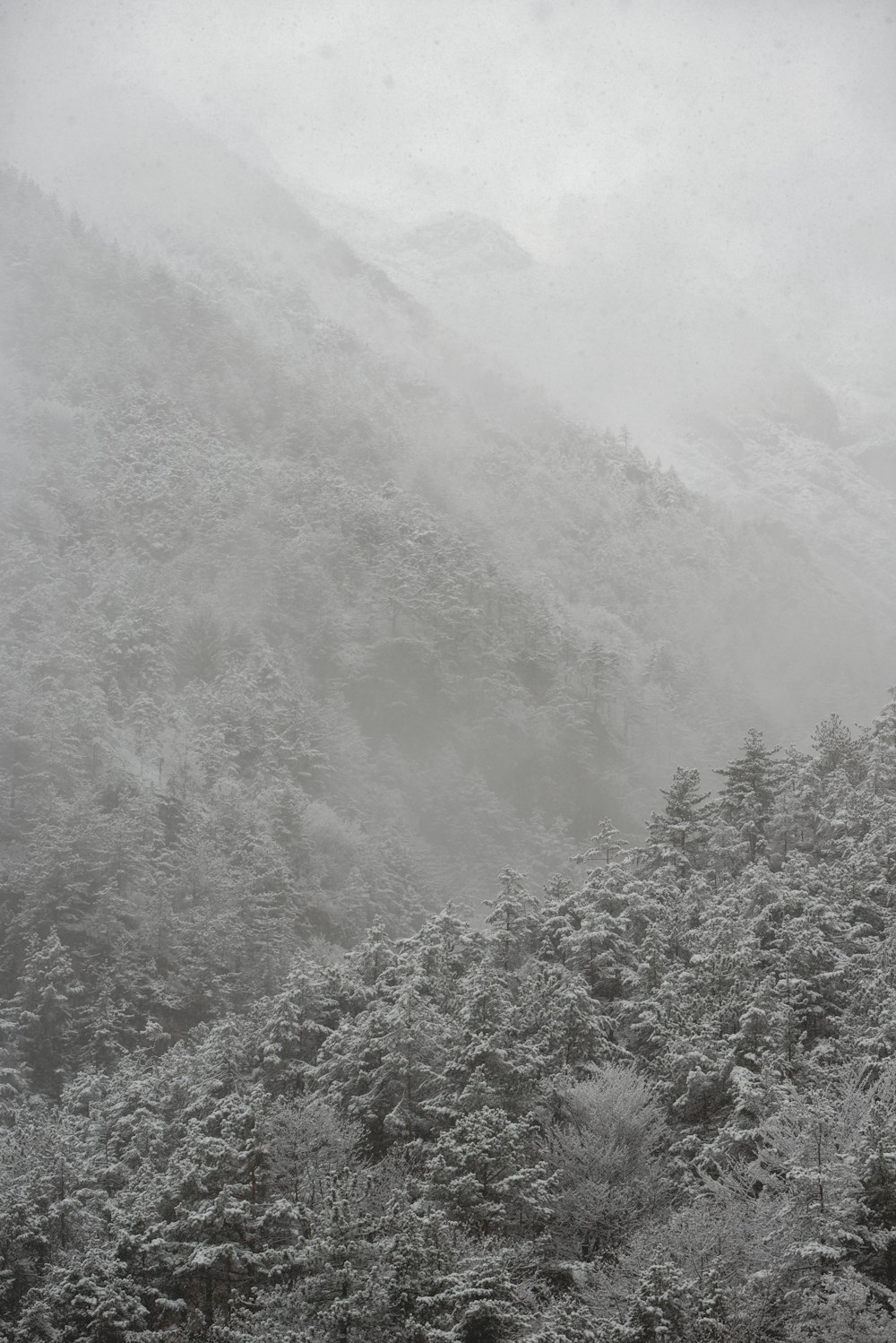 a black and white photo of a foggy mountain