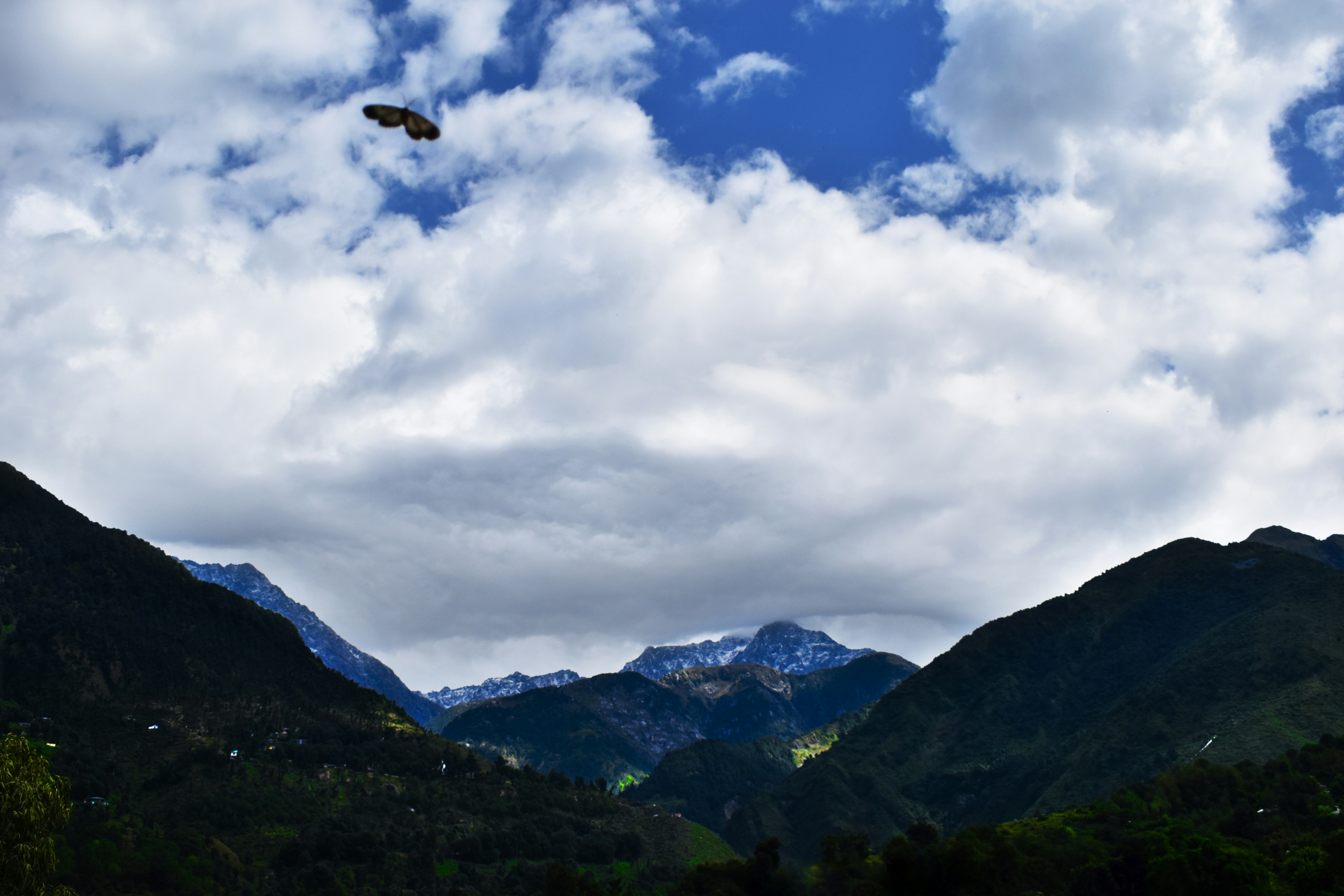 Climate Change: Compounding the Crisis (image credits: unsplash)