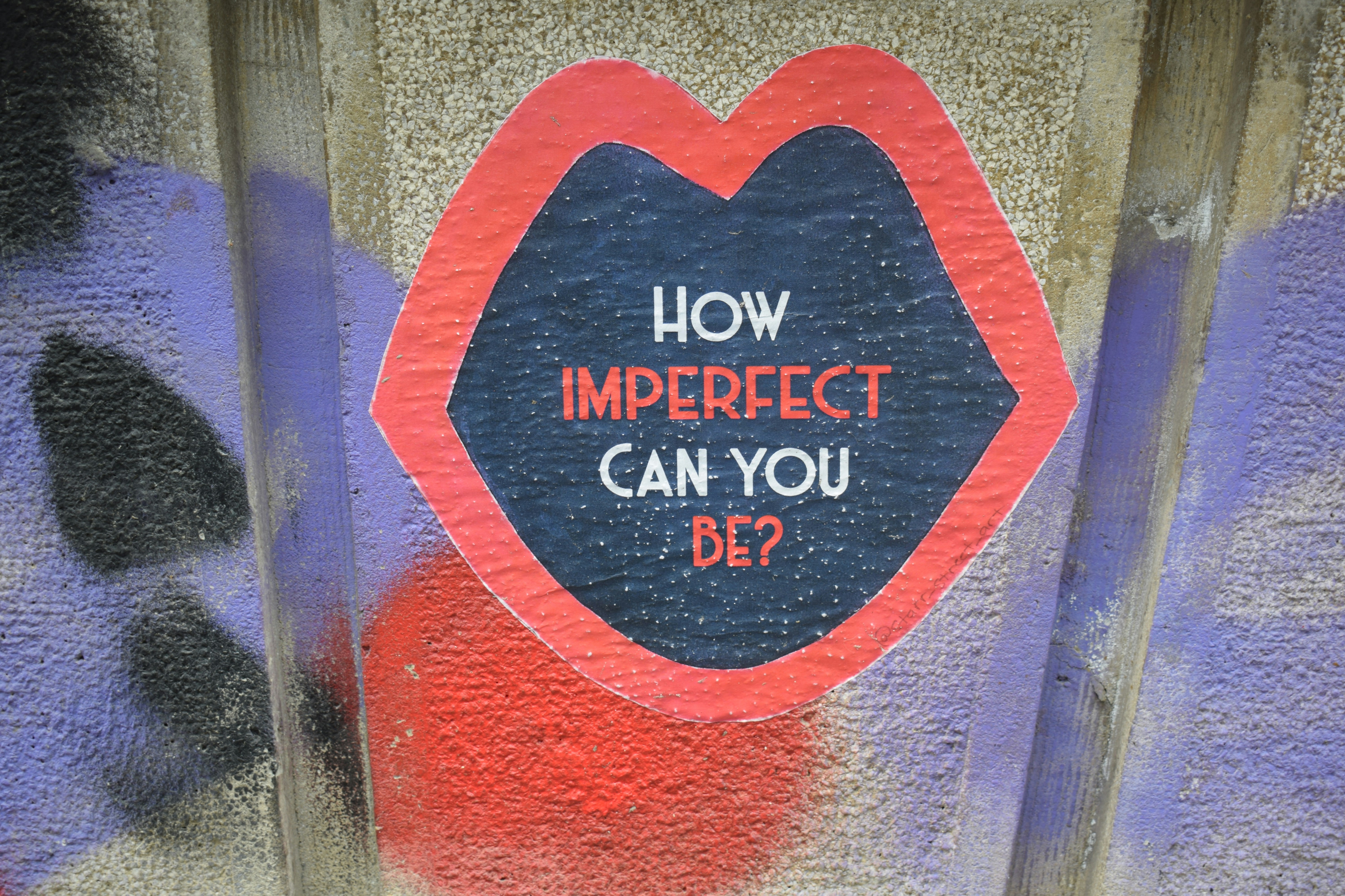 what can indesign do