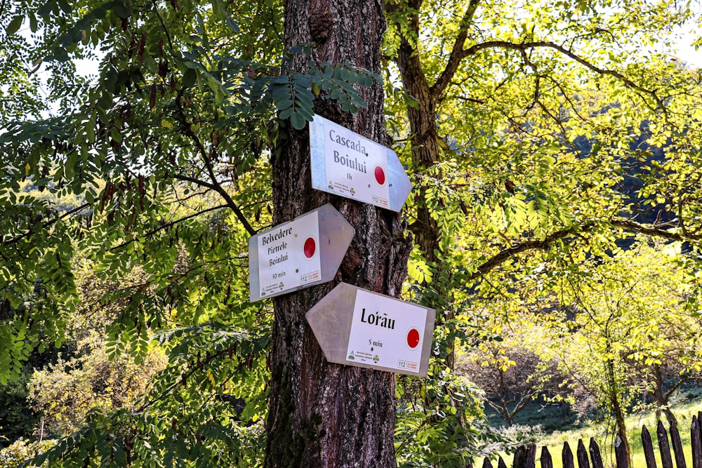 a couple of signs that are on a tree