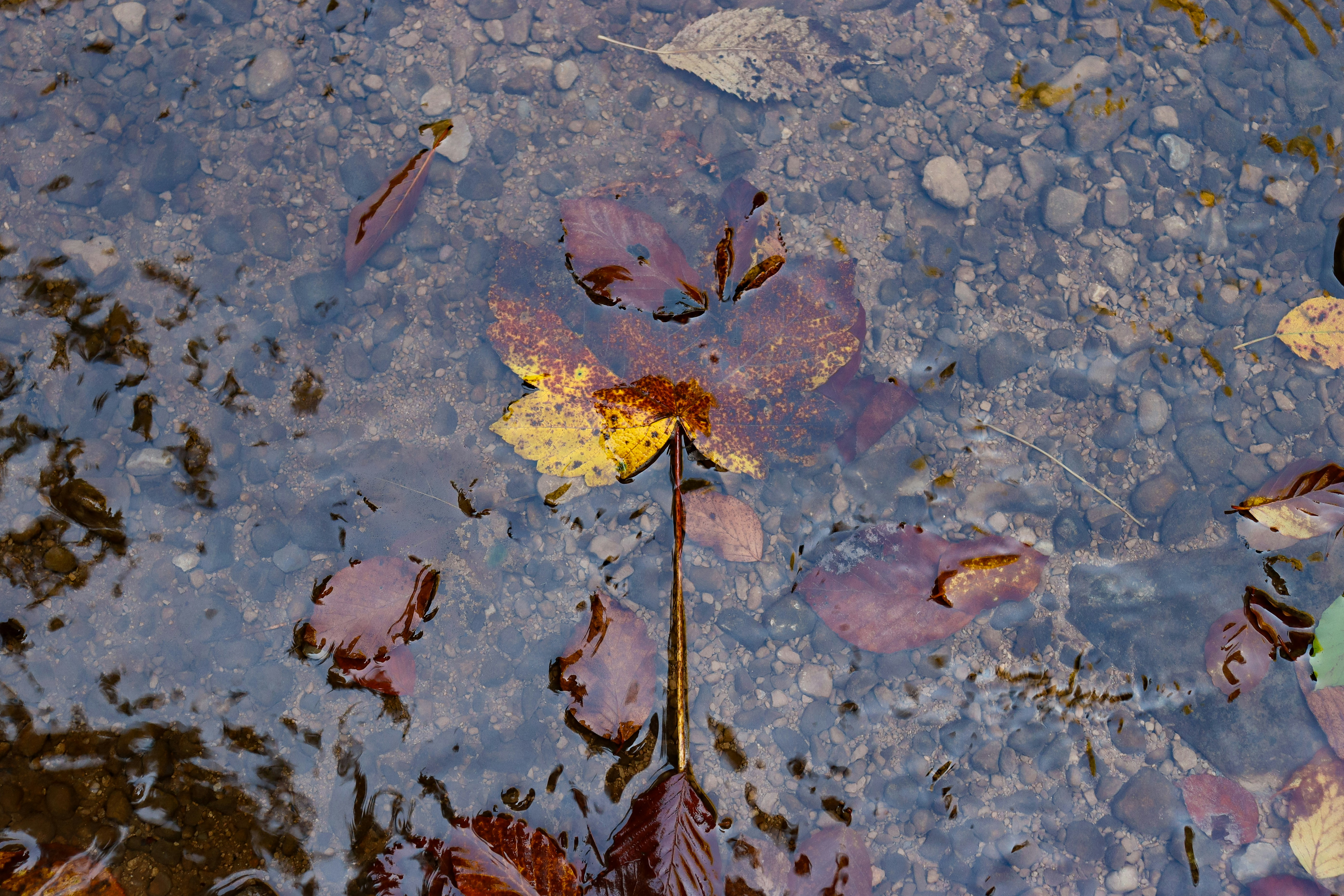 Photo by fermoar