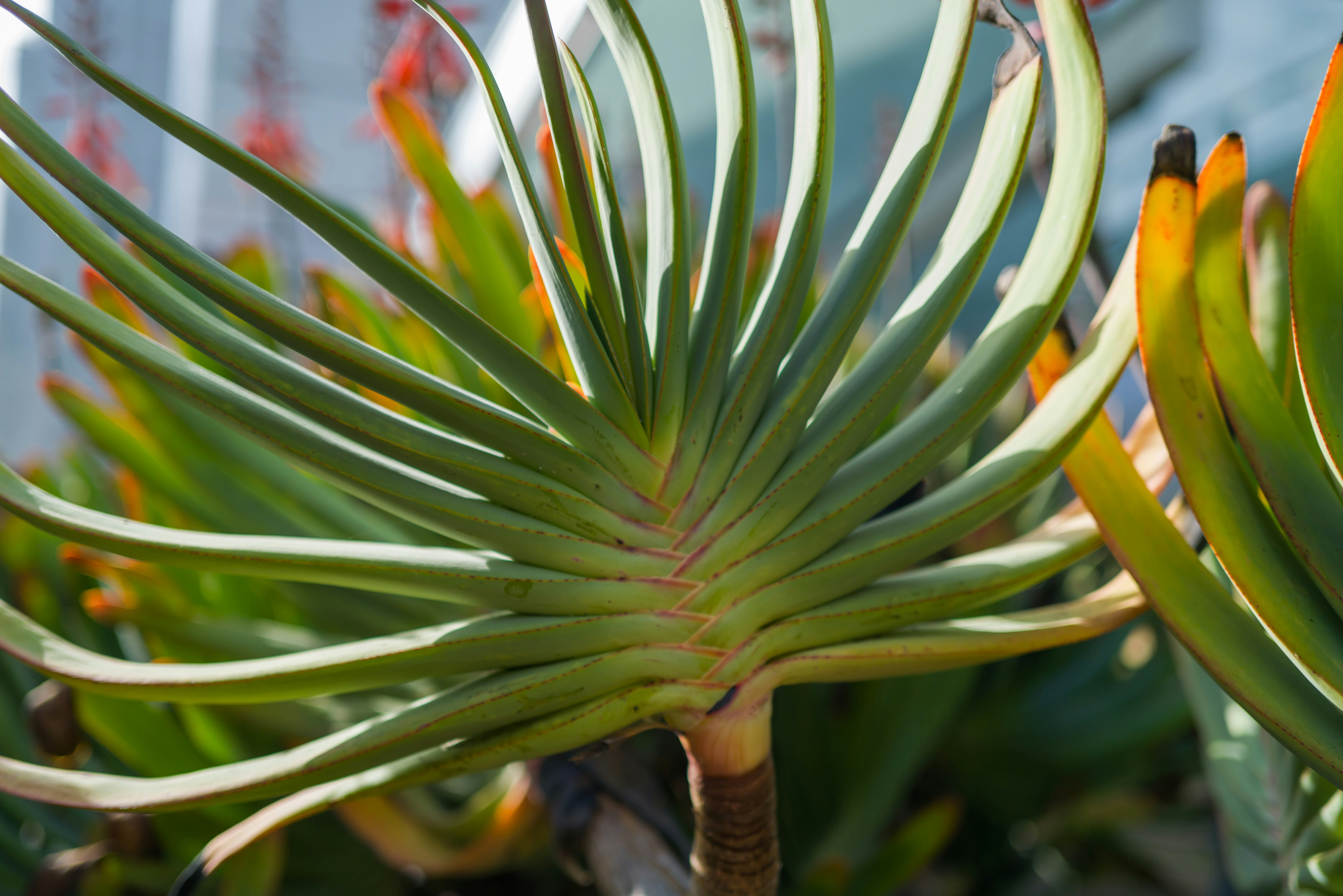 Photo by georgeiermann