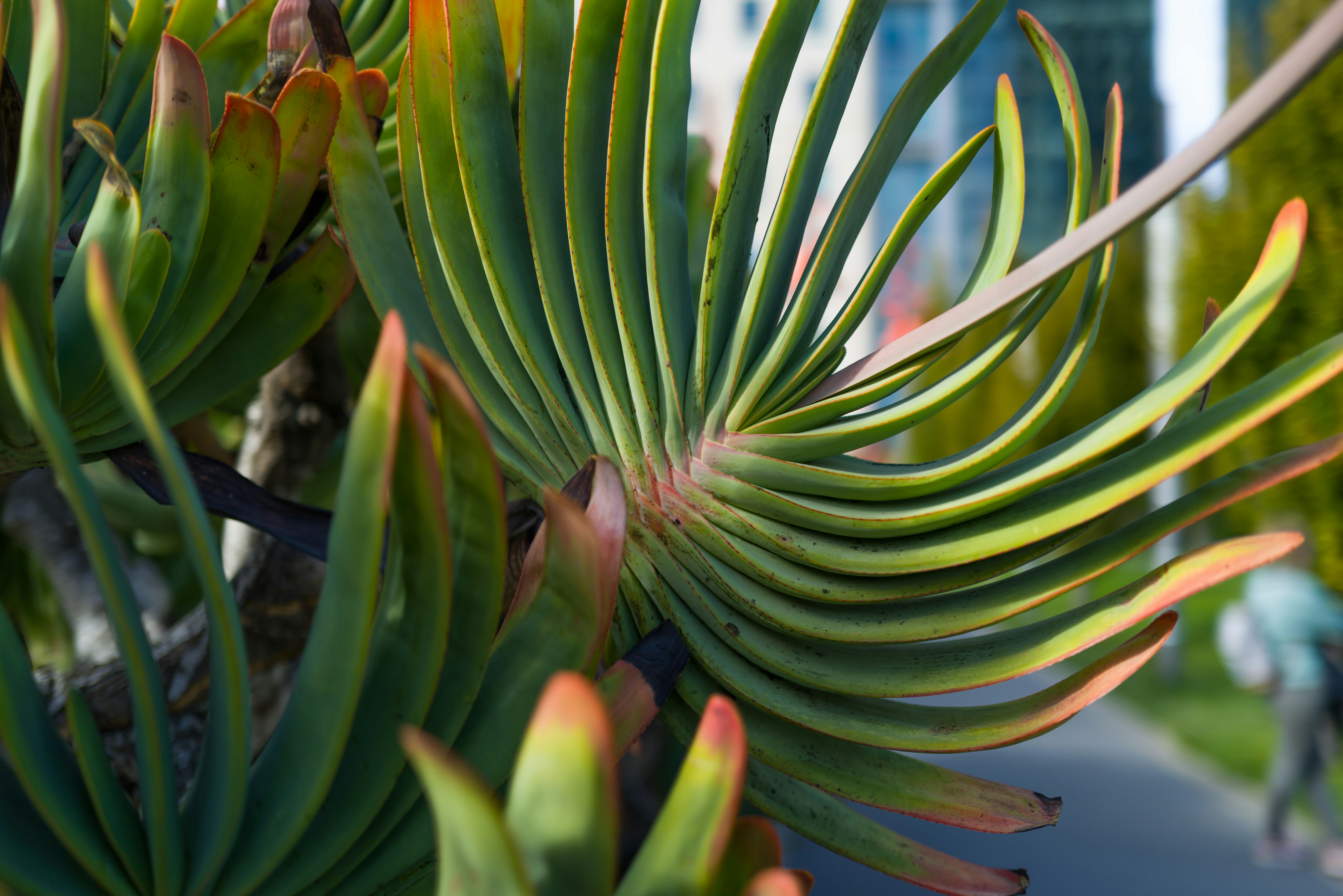 Photo by georgeiermann