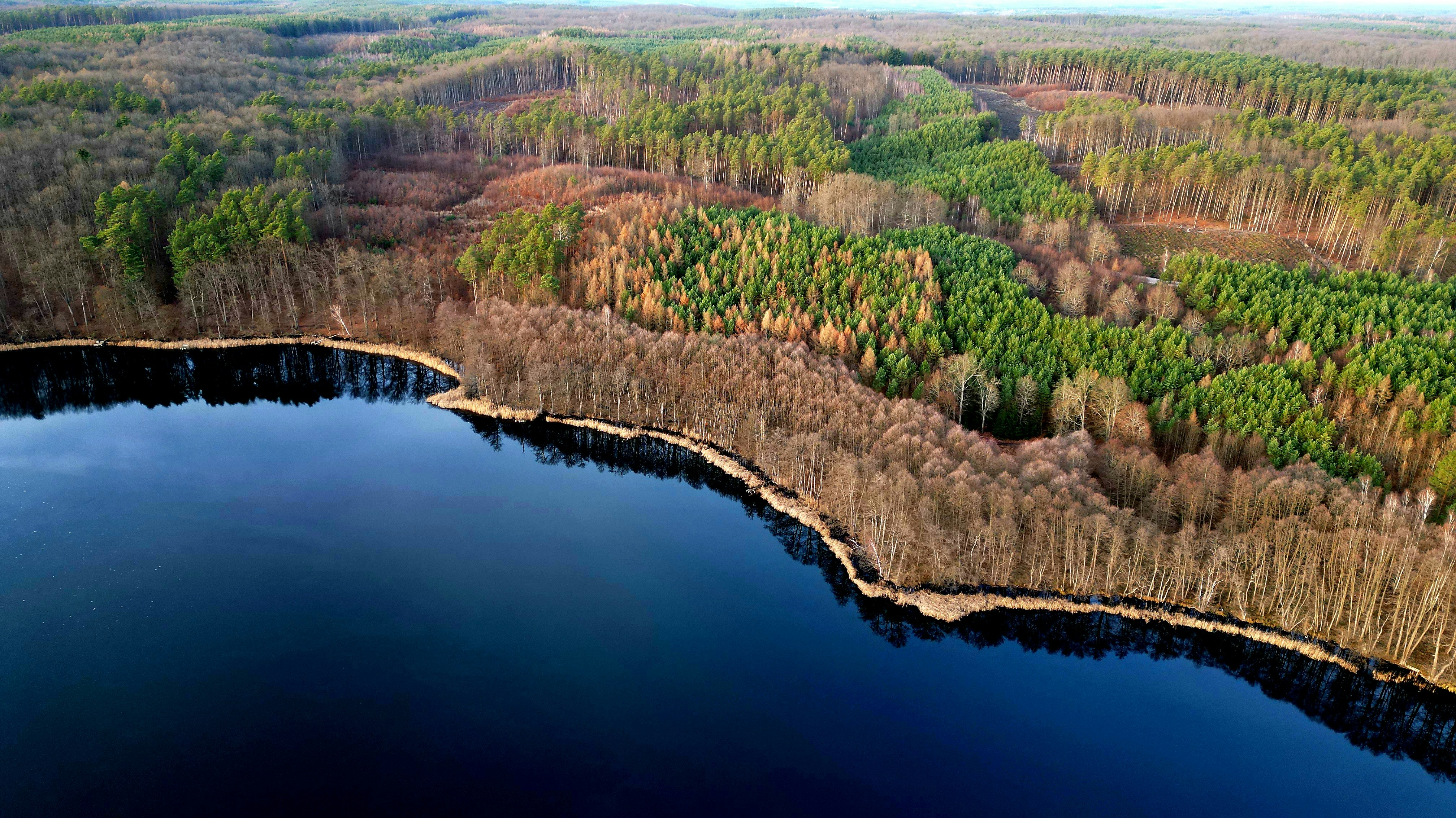 Photo by shadows_yard