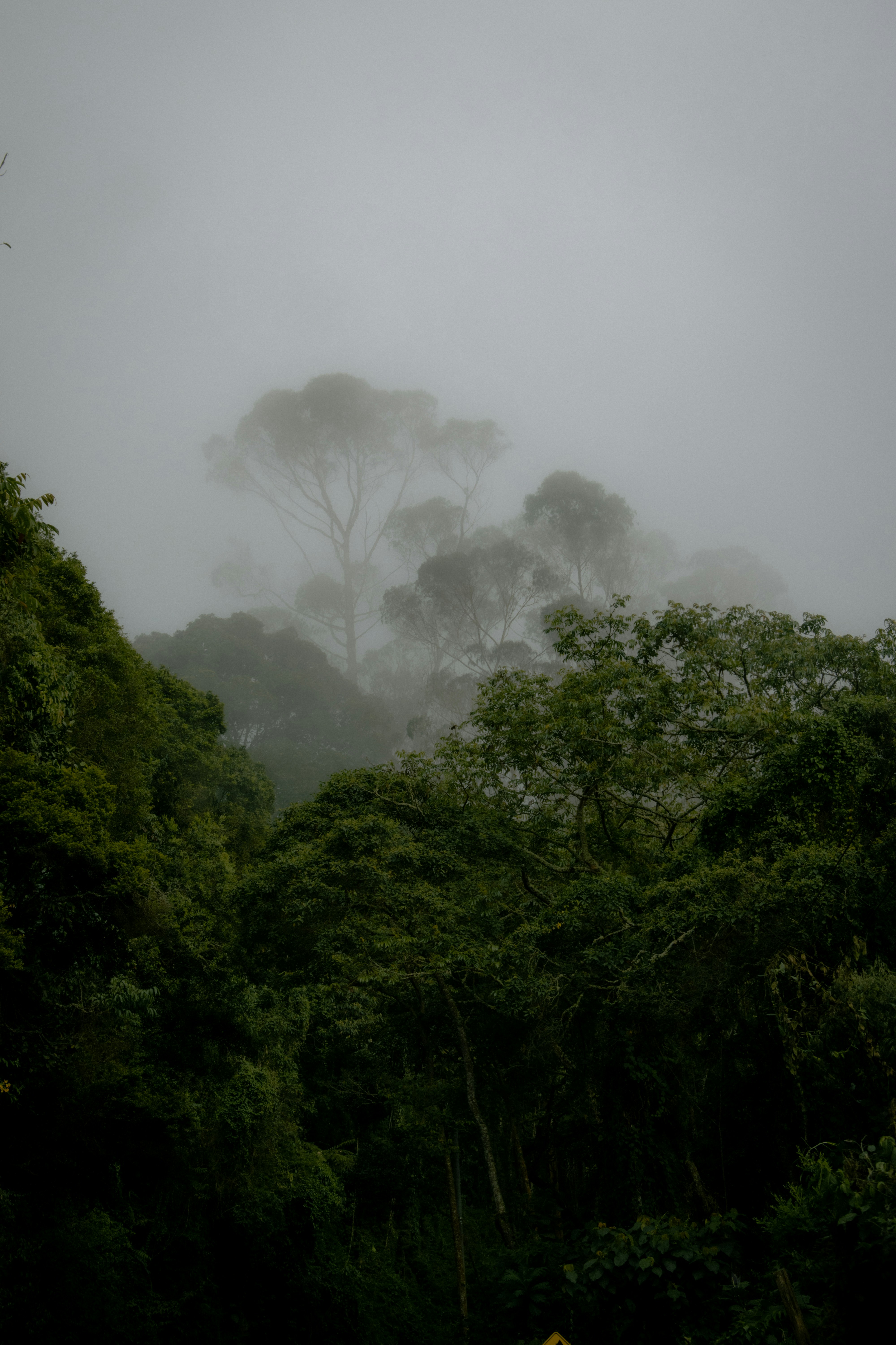 Photo by sebaslav_ph